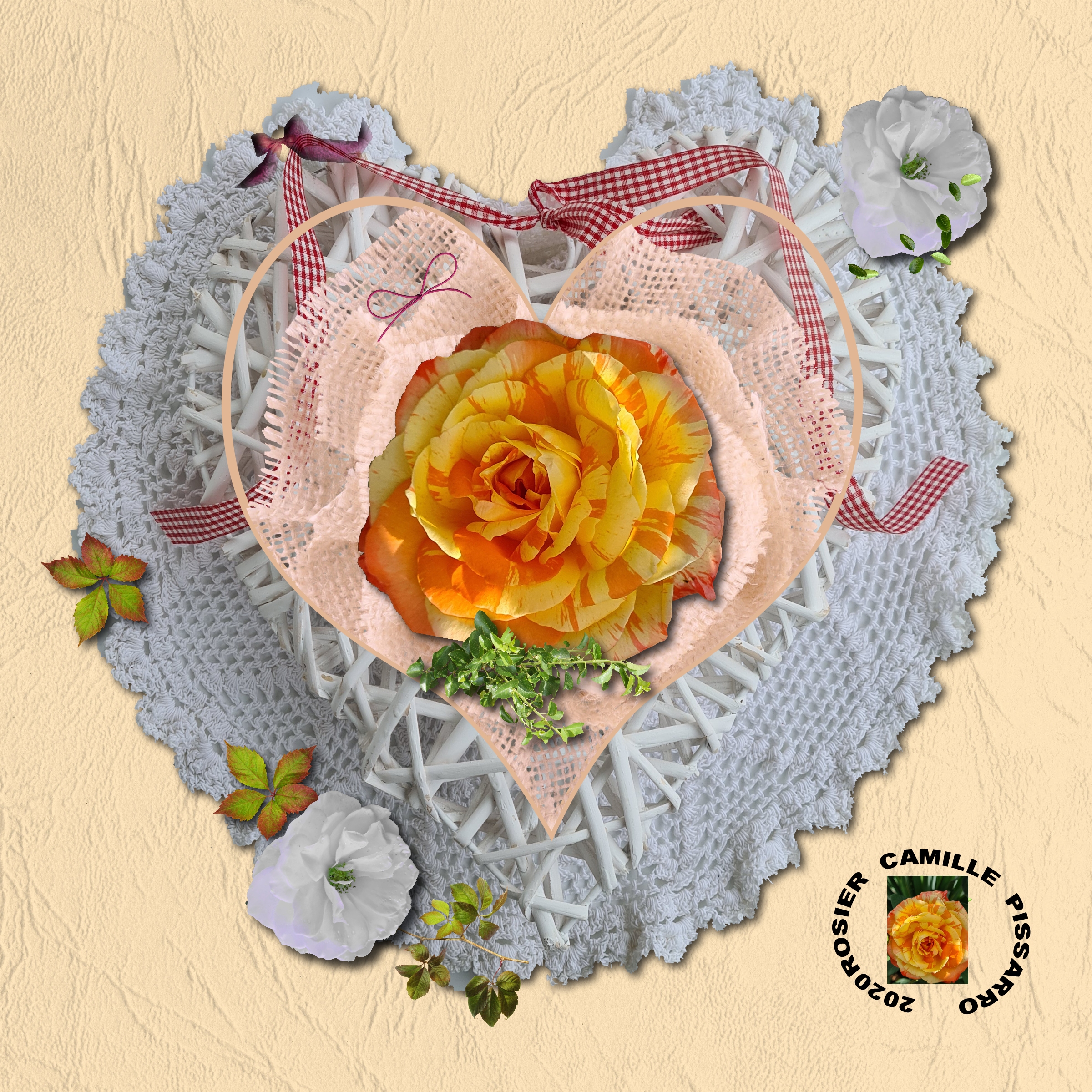 COEUR DENTELLE ET ROSE 13.11.2020.jpg