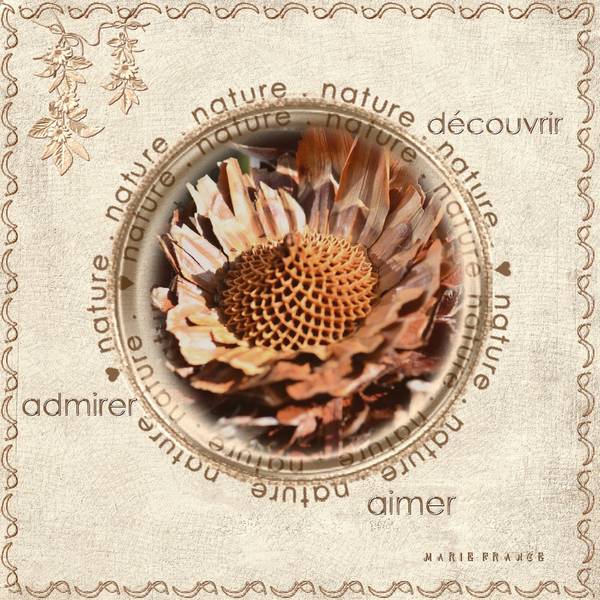 Coeur fané de fin d'été