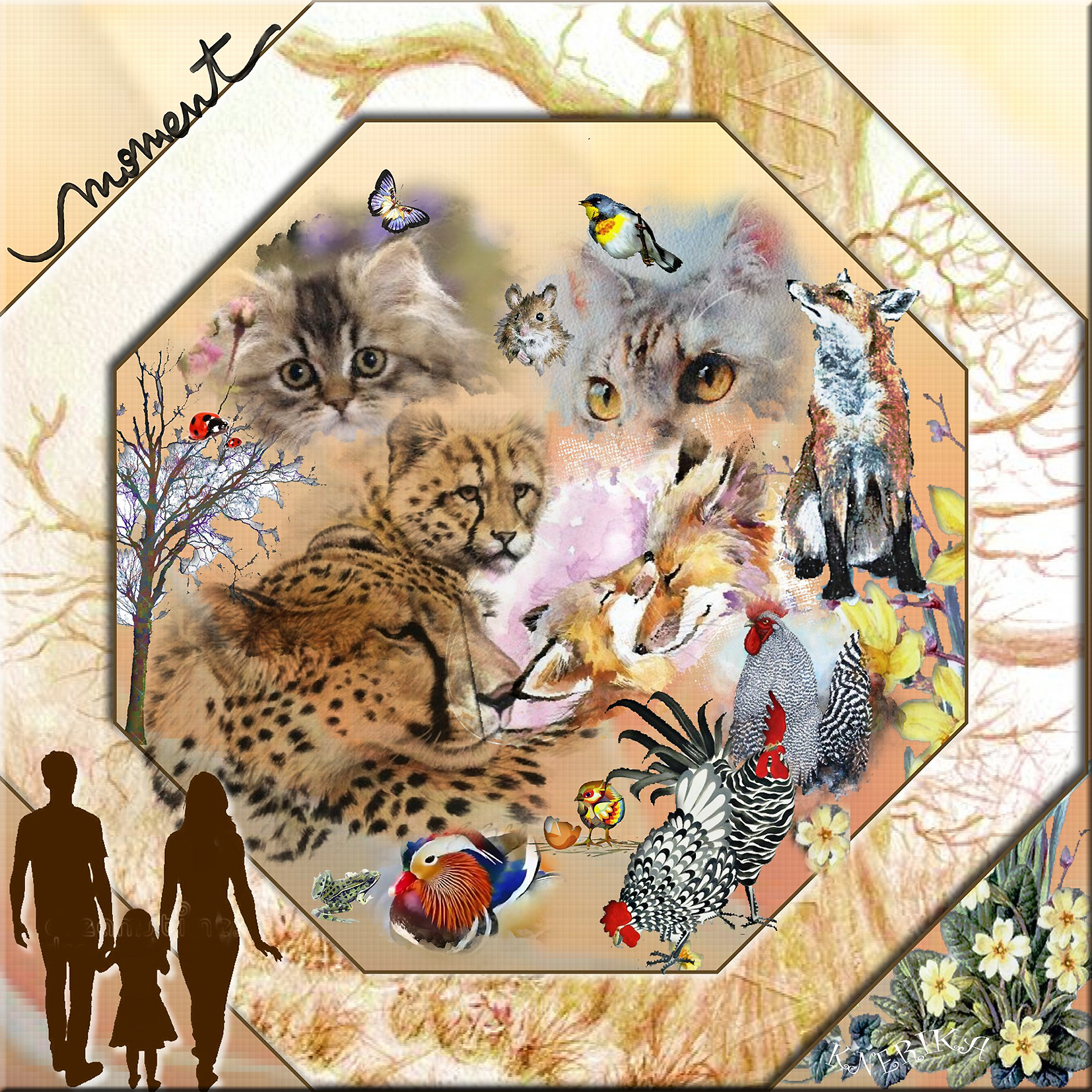 cohabitation,moment unique, Anne Marie.jpg