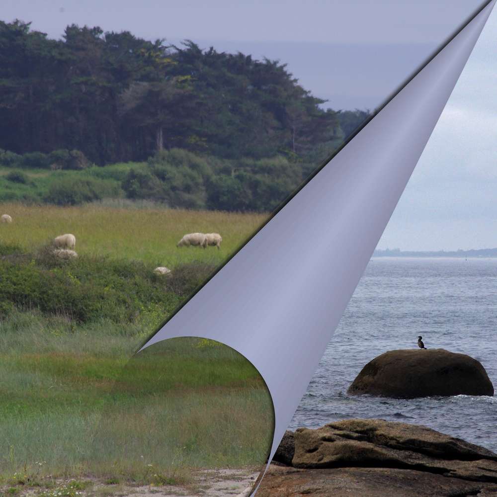 coin corné ... encore et toujours