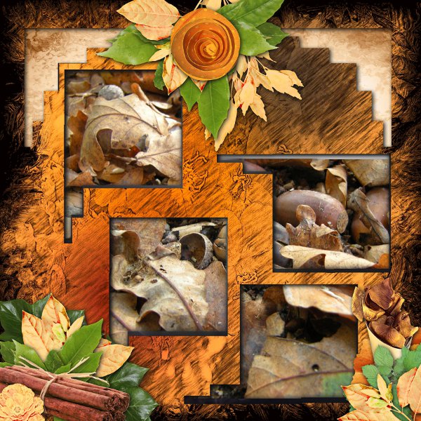 Collab template Bijou7 et Dossel -6-