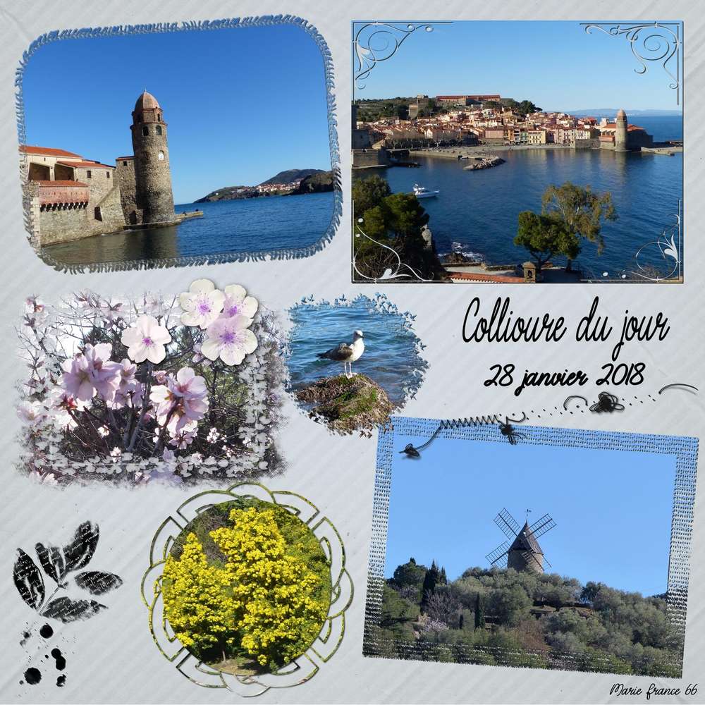 COLLIOURE DU JOUR