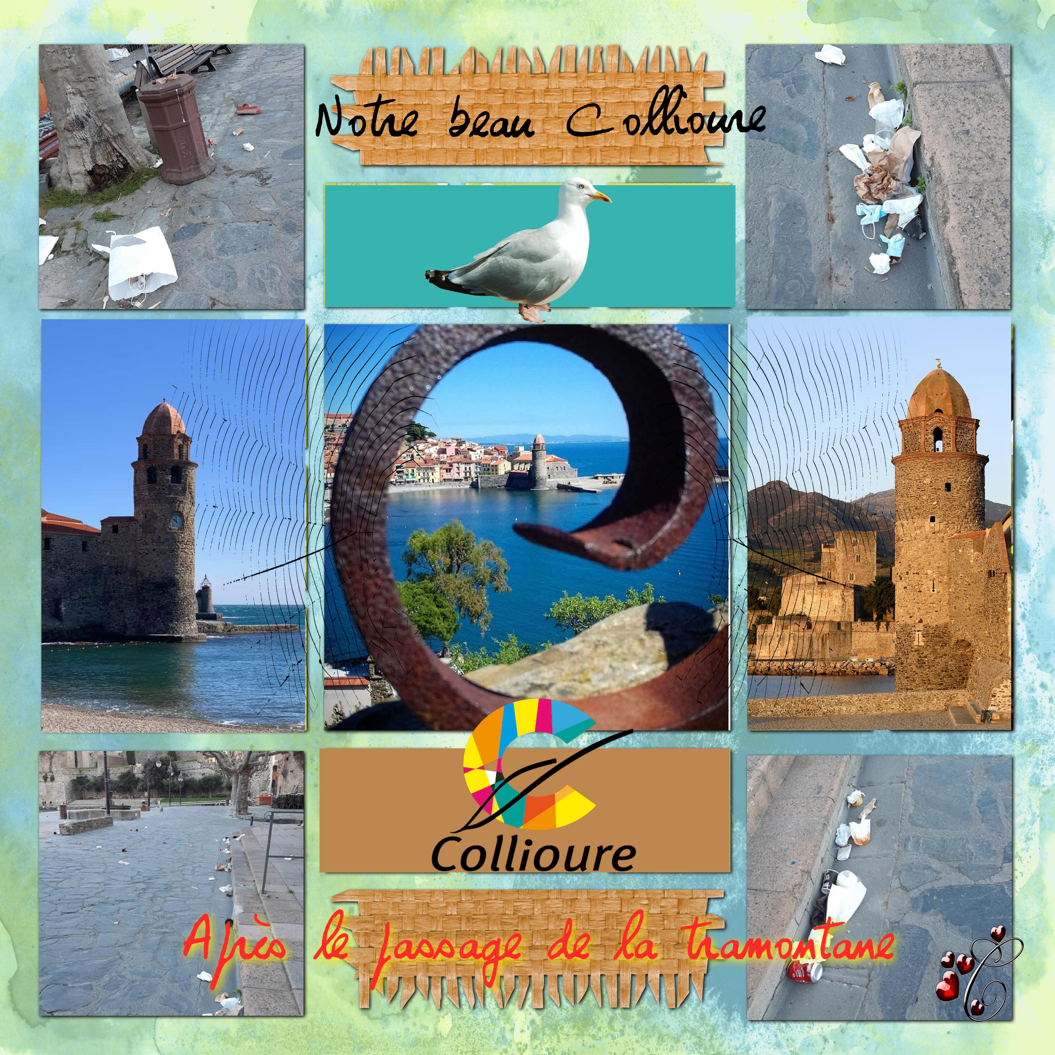 Collioure et la tram.jpg