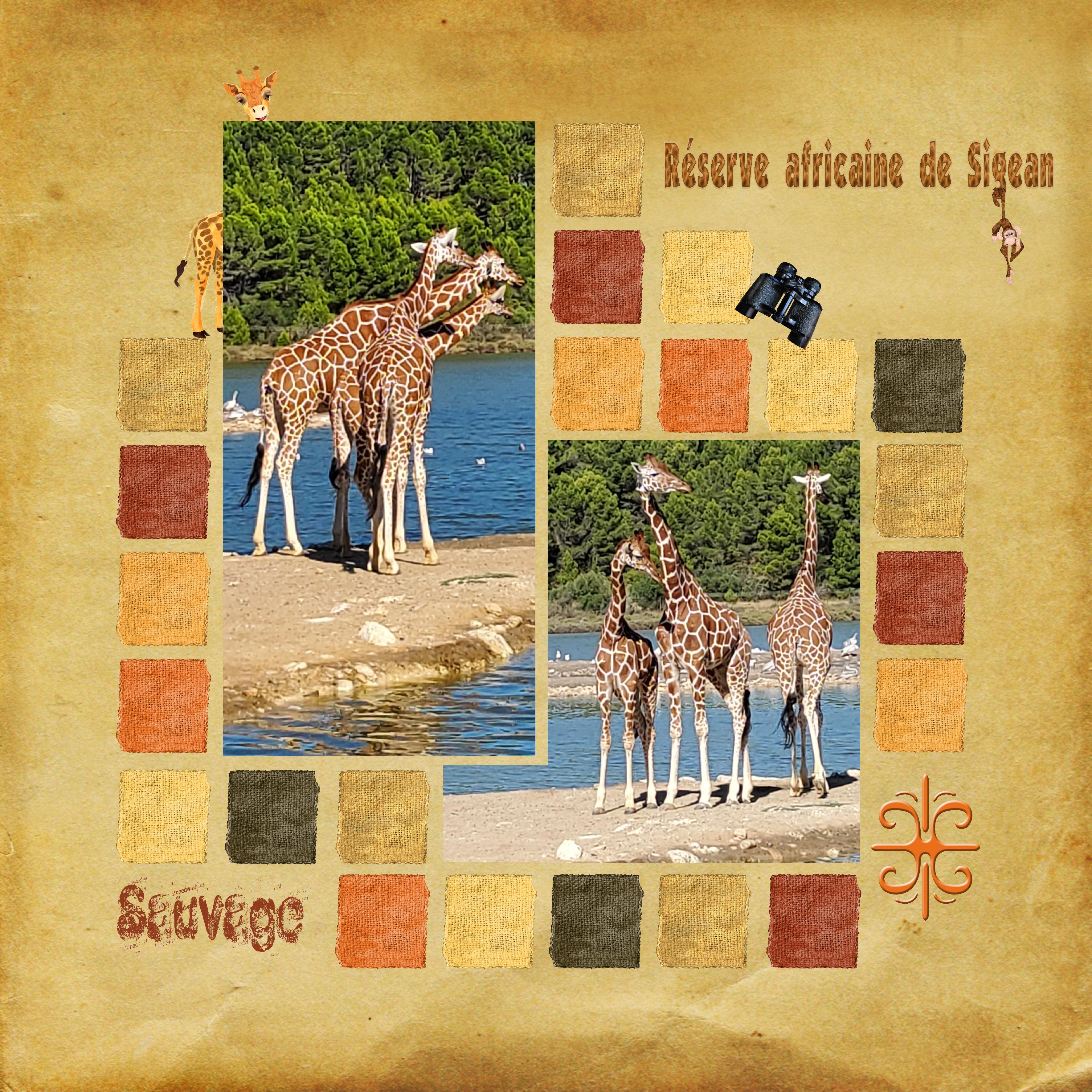 Colors blocs Réserve africaine de Sigean (page 2).jpg