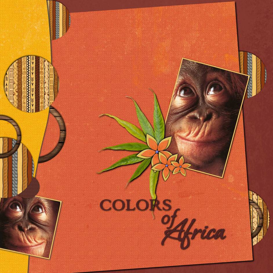 COLORS_OF_AFRICA