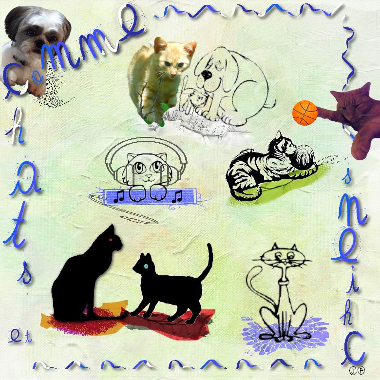 comme chiens et chats.jpg