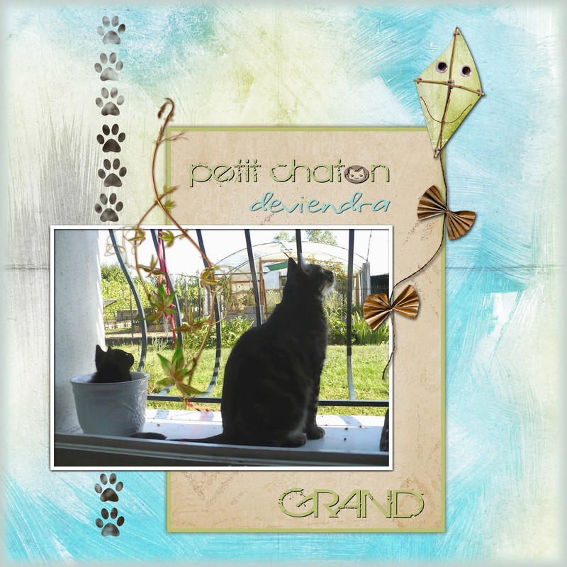 Comme le grand frère