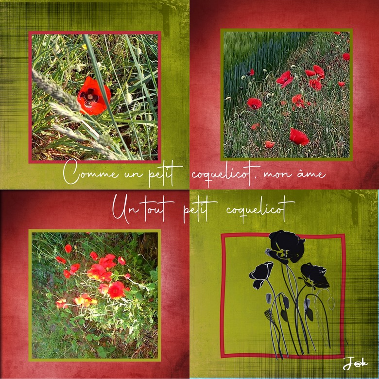comme un p'tit coquelicot mon âme_05-05-21.jpg