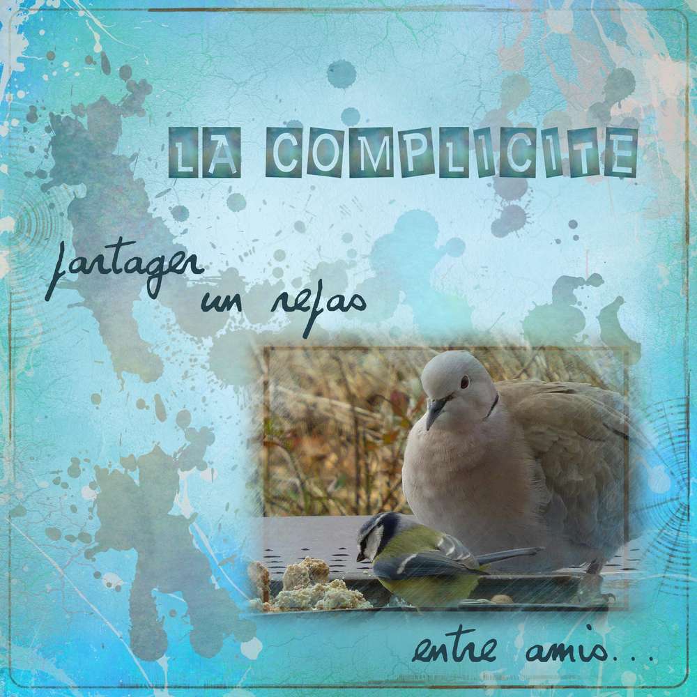 Complicité