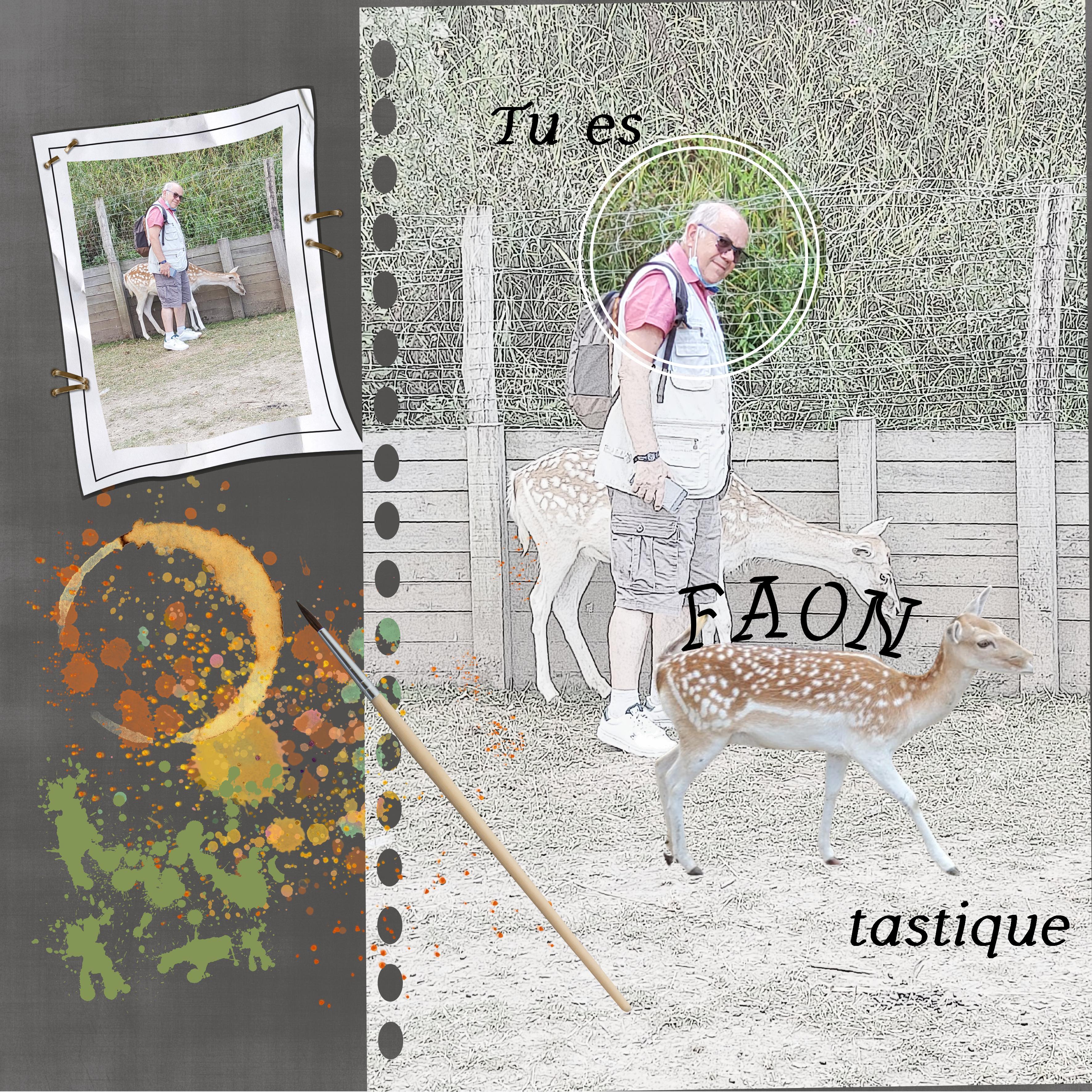 Compliment Saint Valentin.jpg