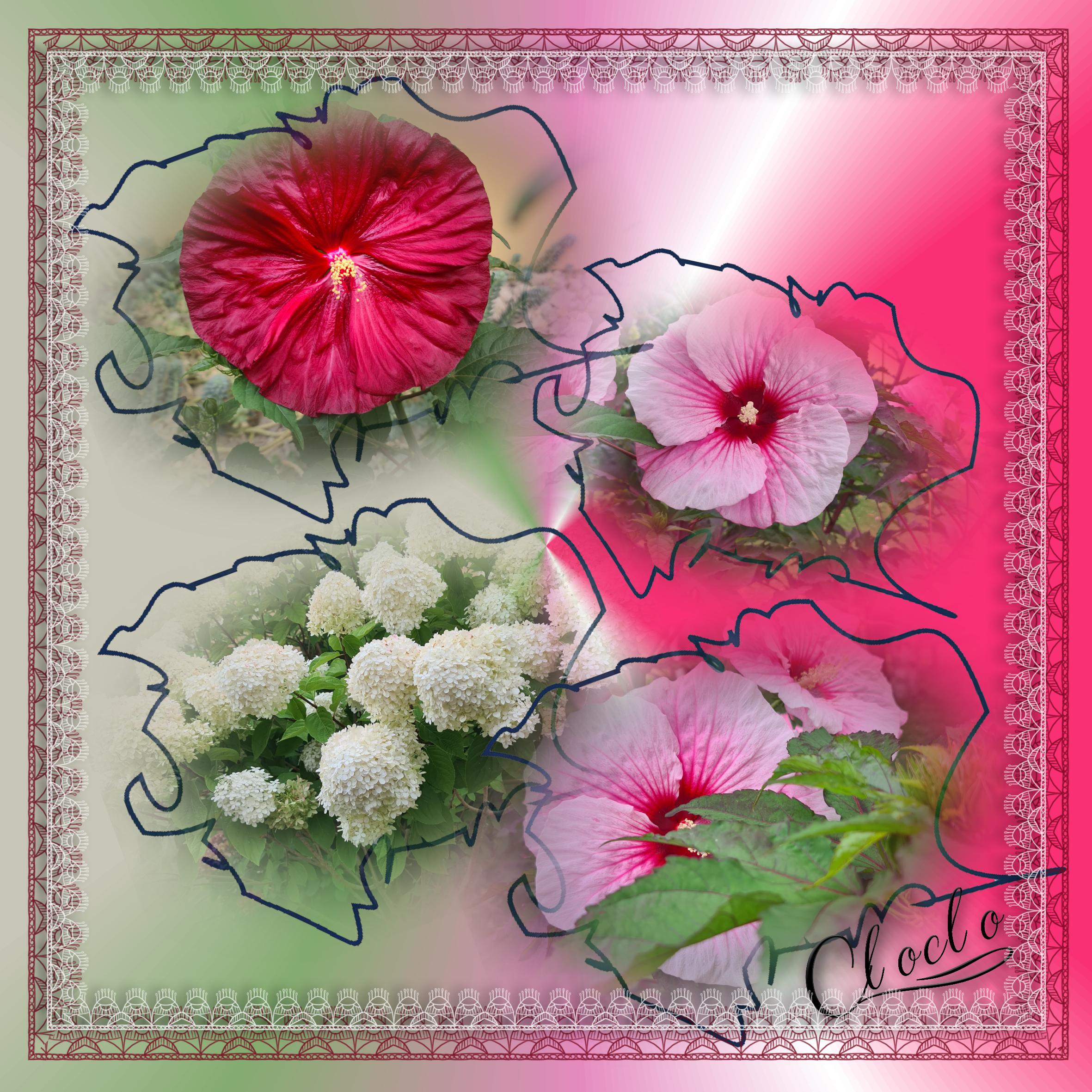 Composition 1 du 1 août 2024.jpg