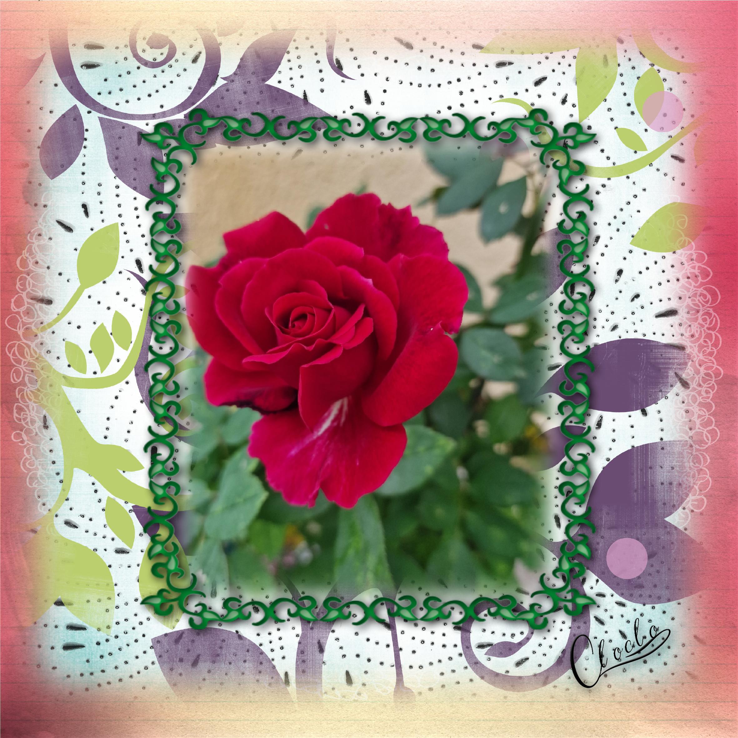 Composition 1 du 1 décembre 2025.jpg