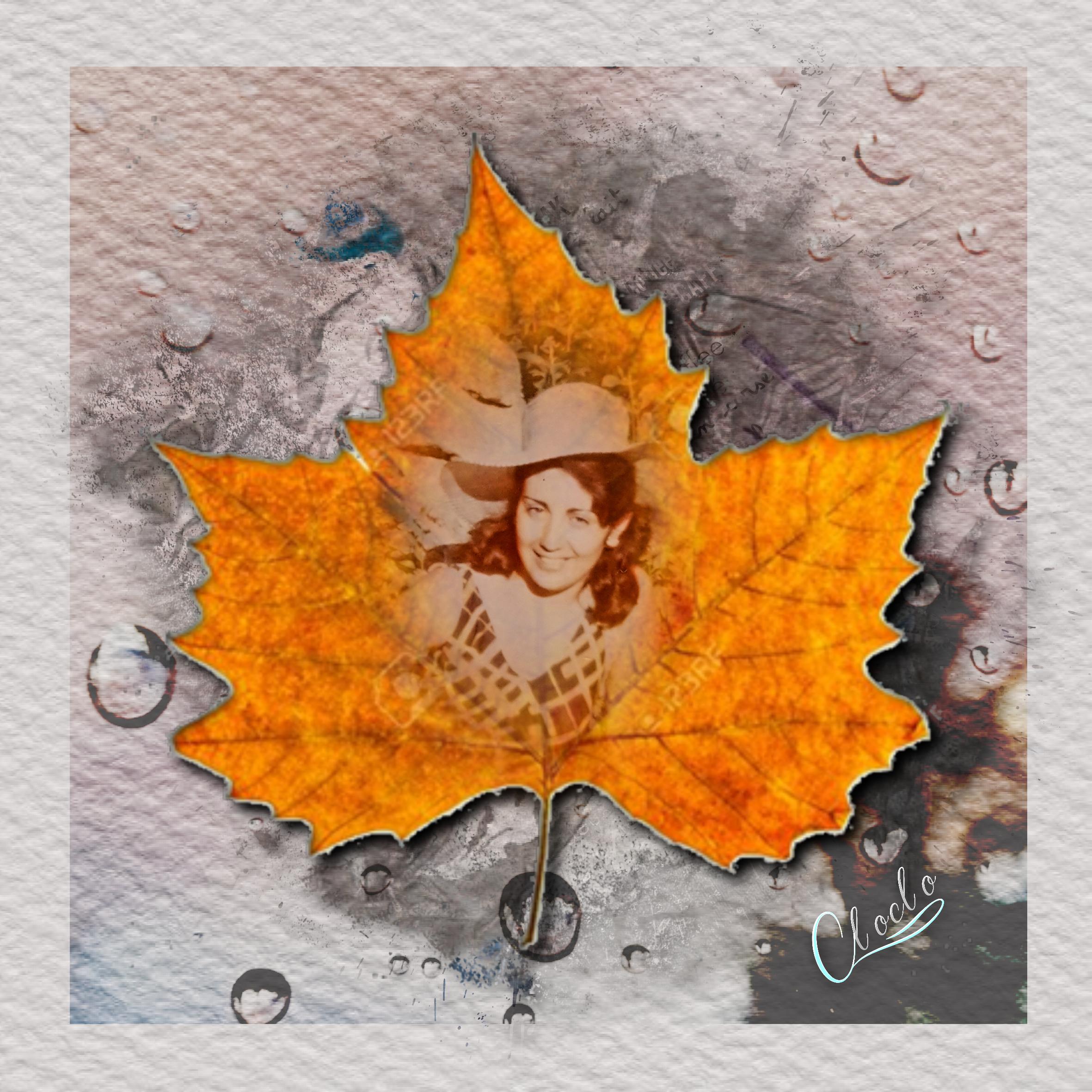 Composition 1 du 10 avril 2023.jpg