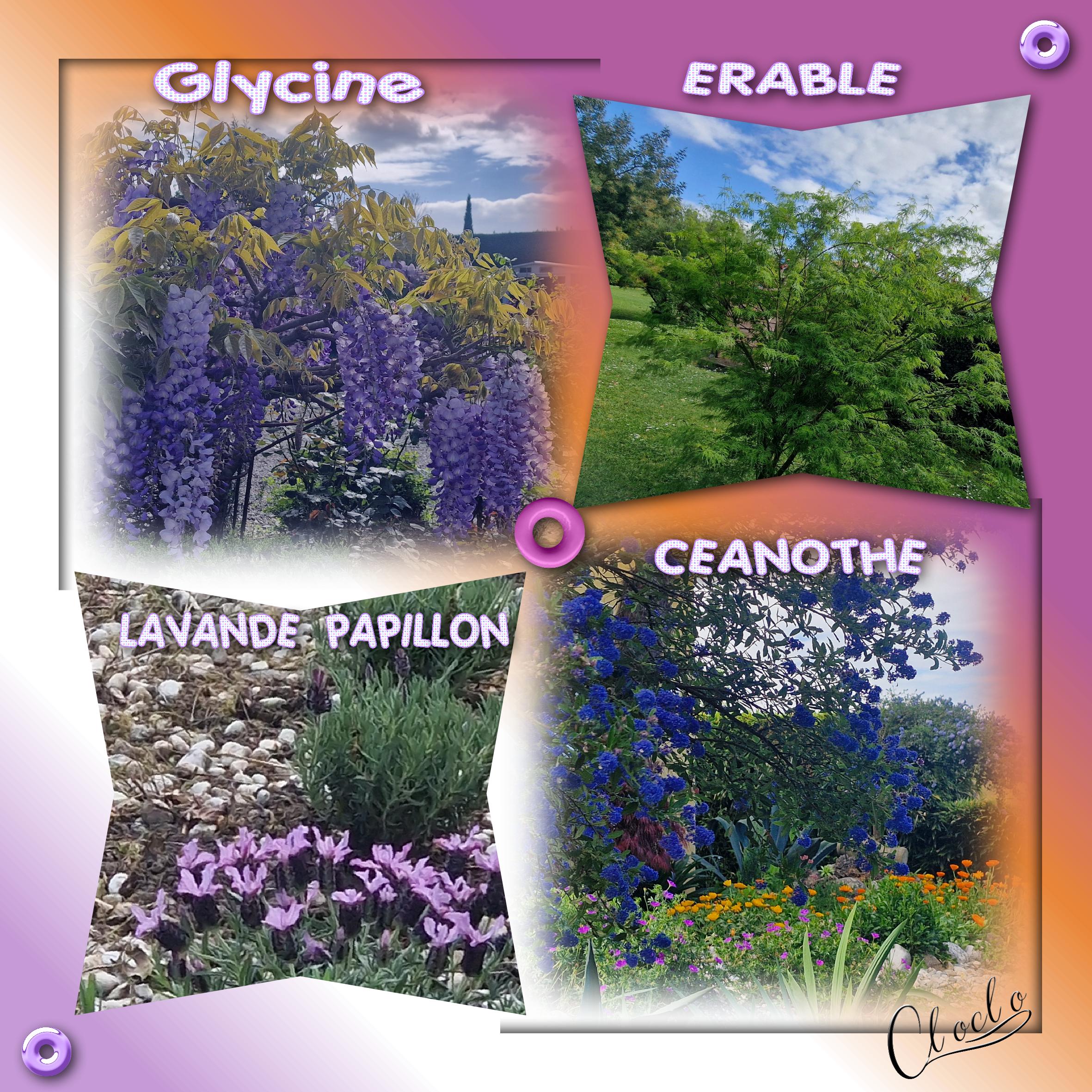 Composition 1 du 10 avril 2024.jpg