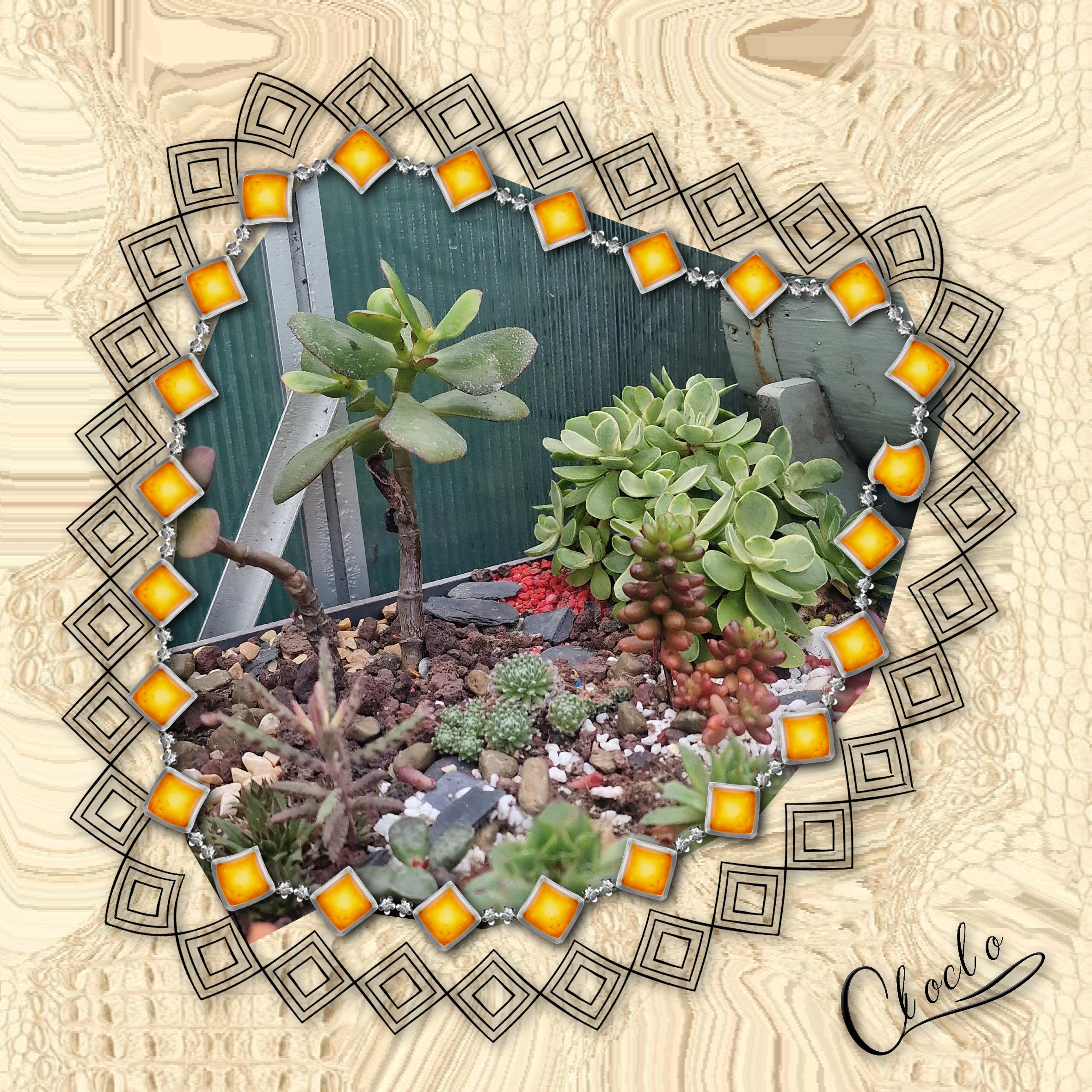 Composition 1 du 10 janvier 2024.jpg