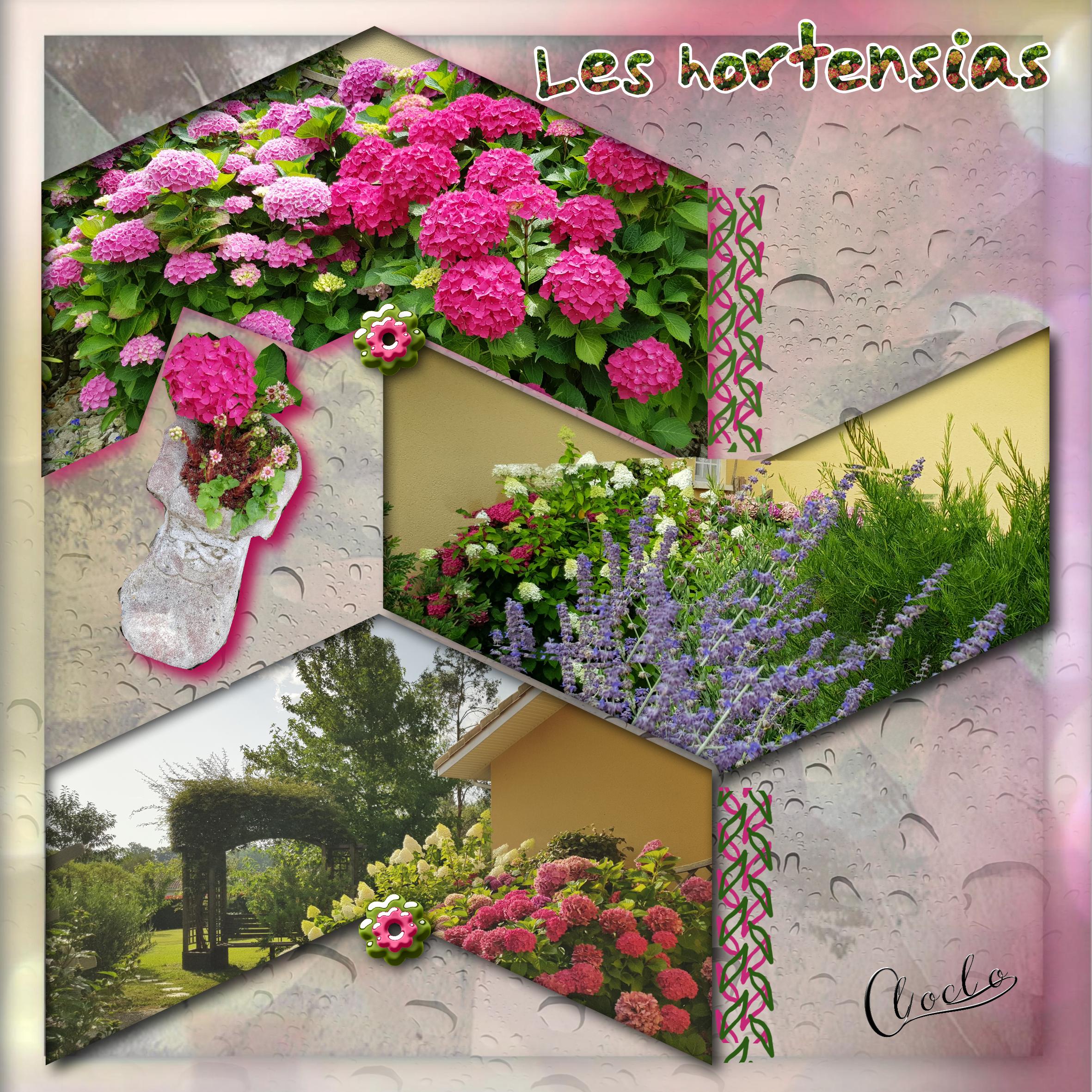 Composition 1 du 10 juin 2023.jpg