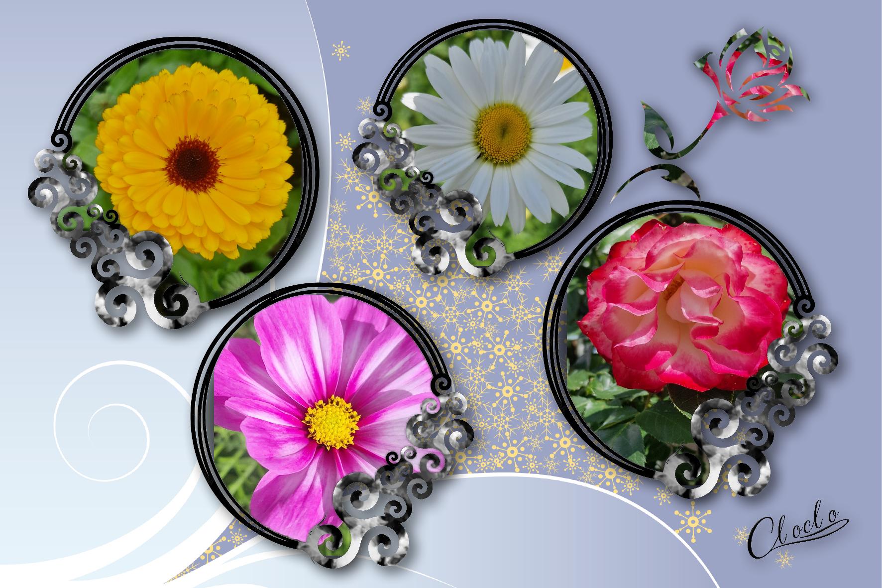 Composition 1 du 10 mai 2024.jpg