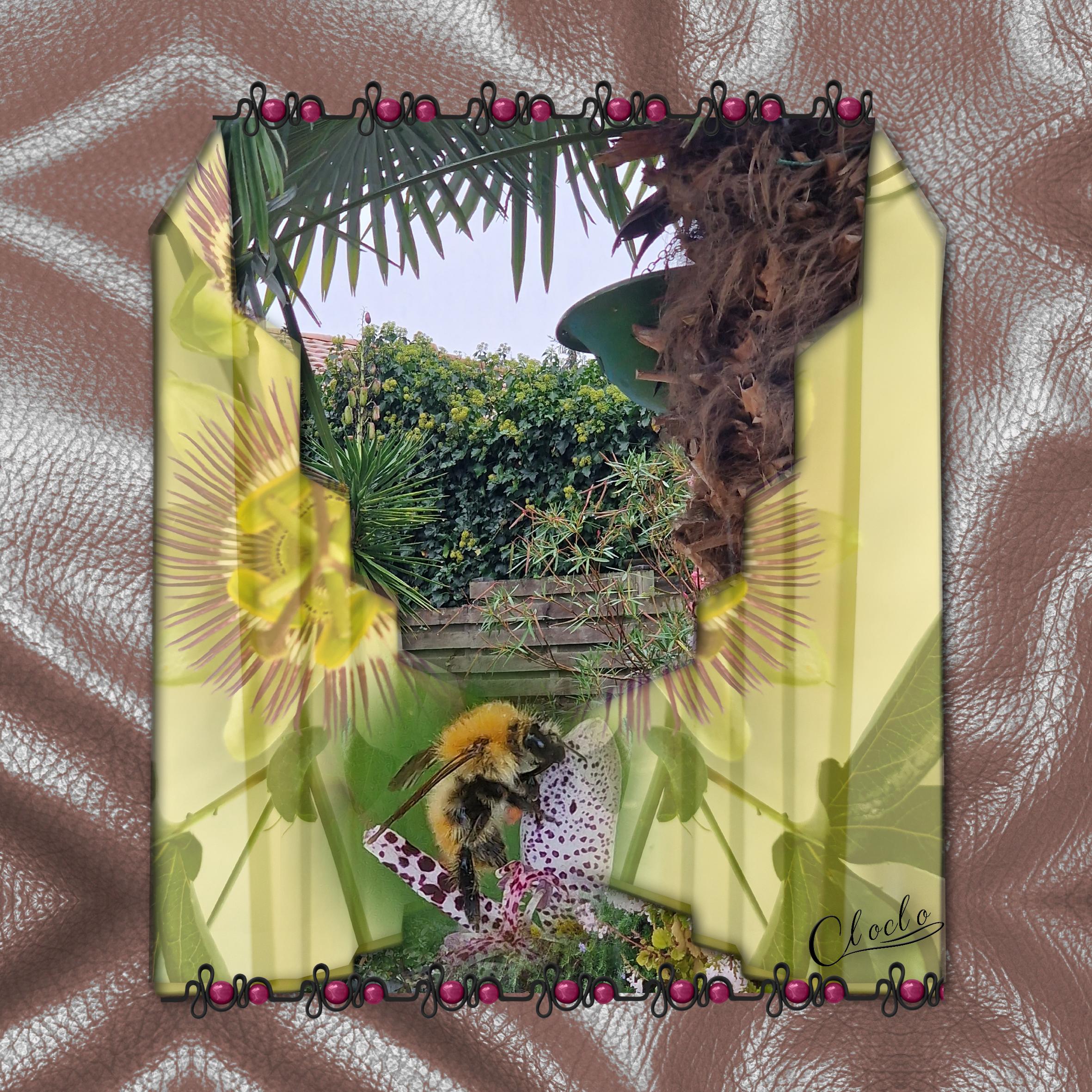 Composition 1 du 10 novembre 2023.jpg