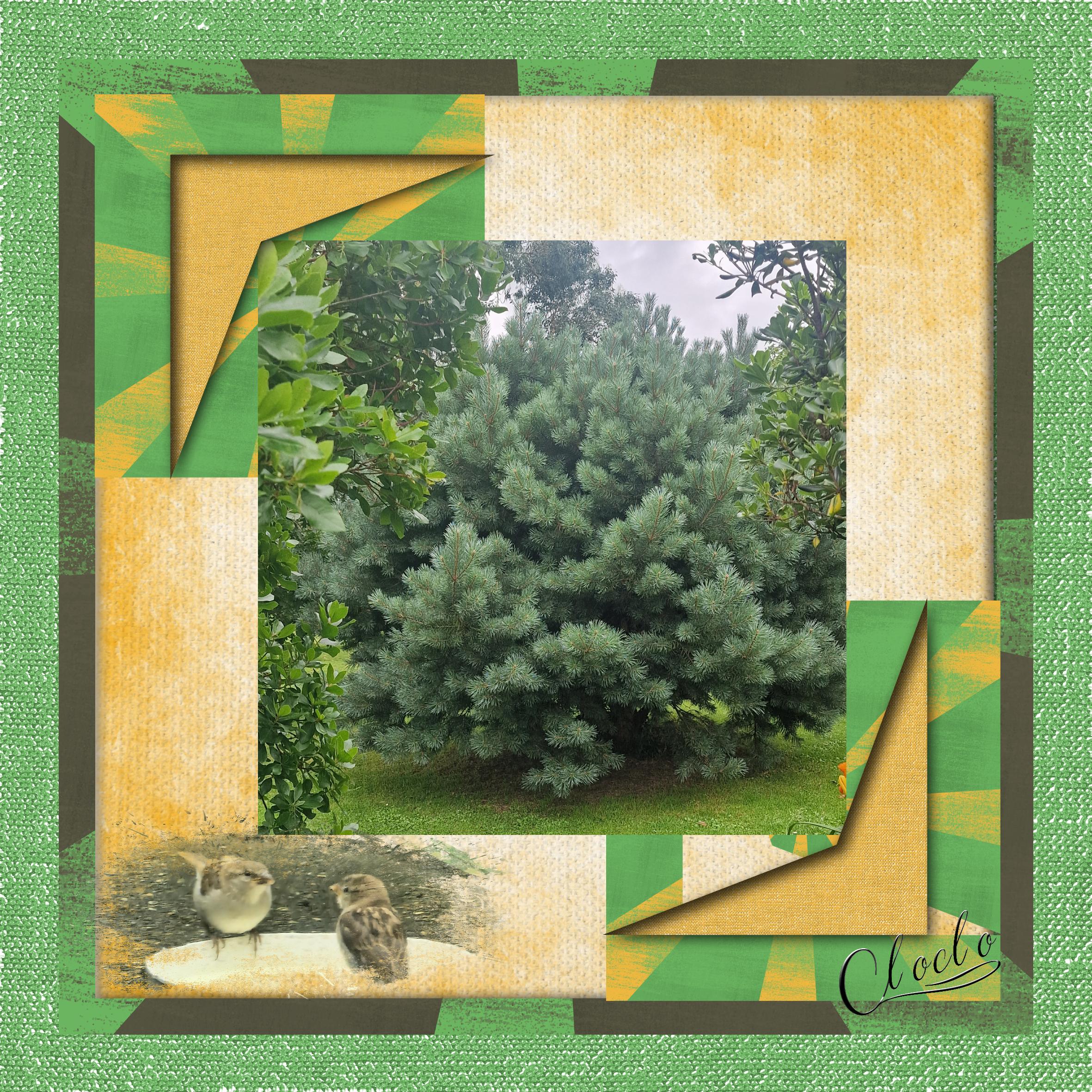 Composition 1 du 11 juillet 2023.jpg