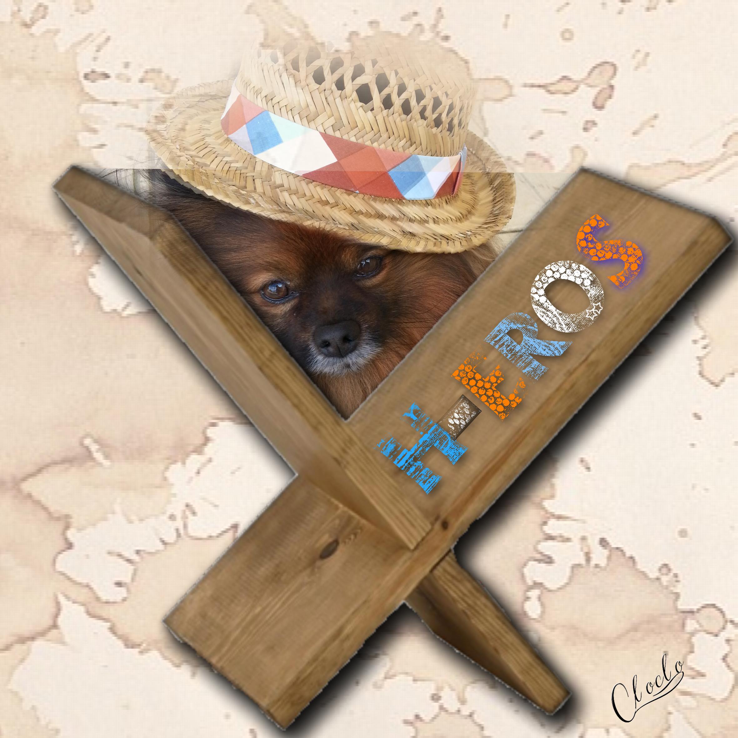 Composition 1 du 12 avril 2023.jpg