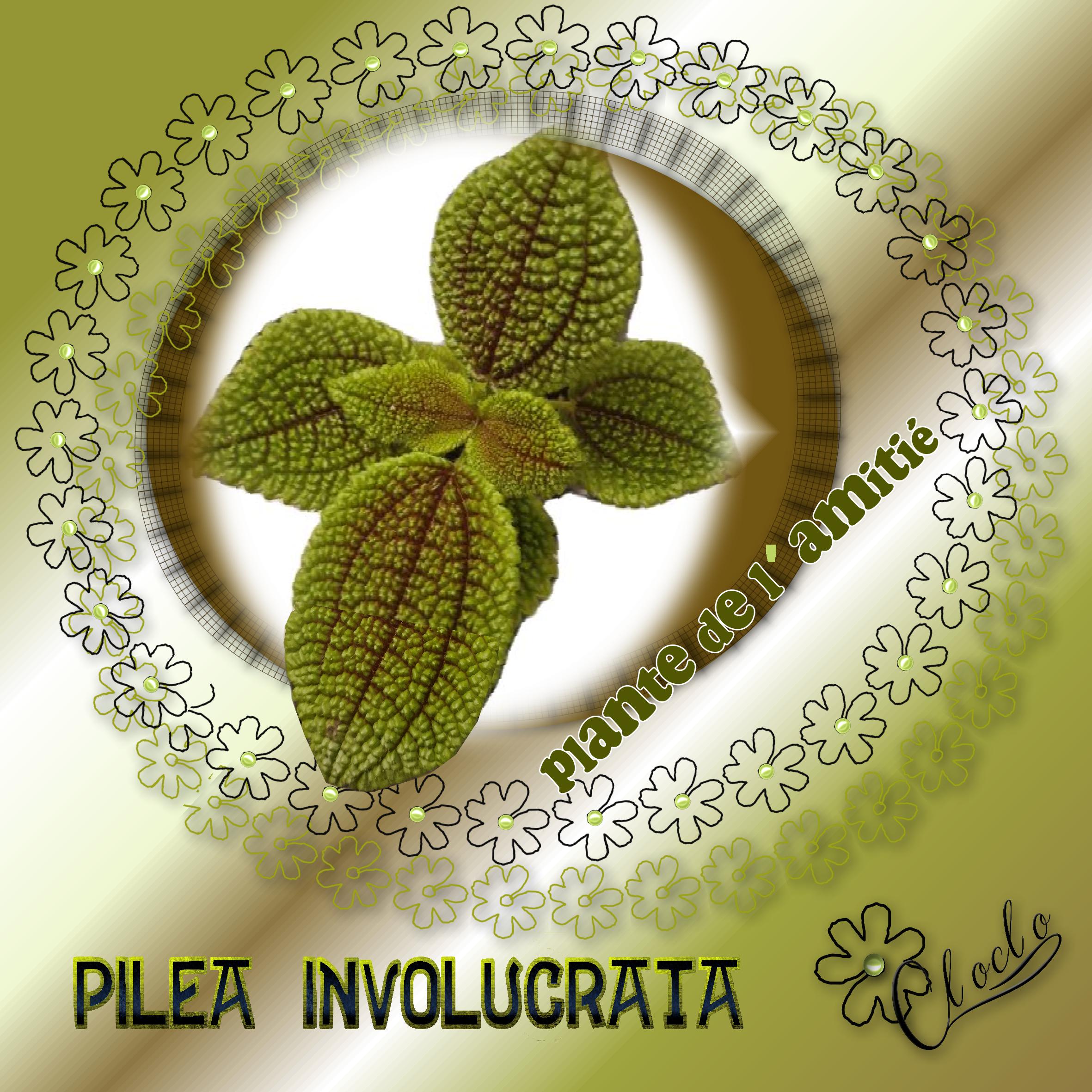 Composition 1 du 12 décembre 2023.jpg