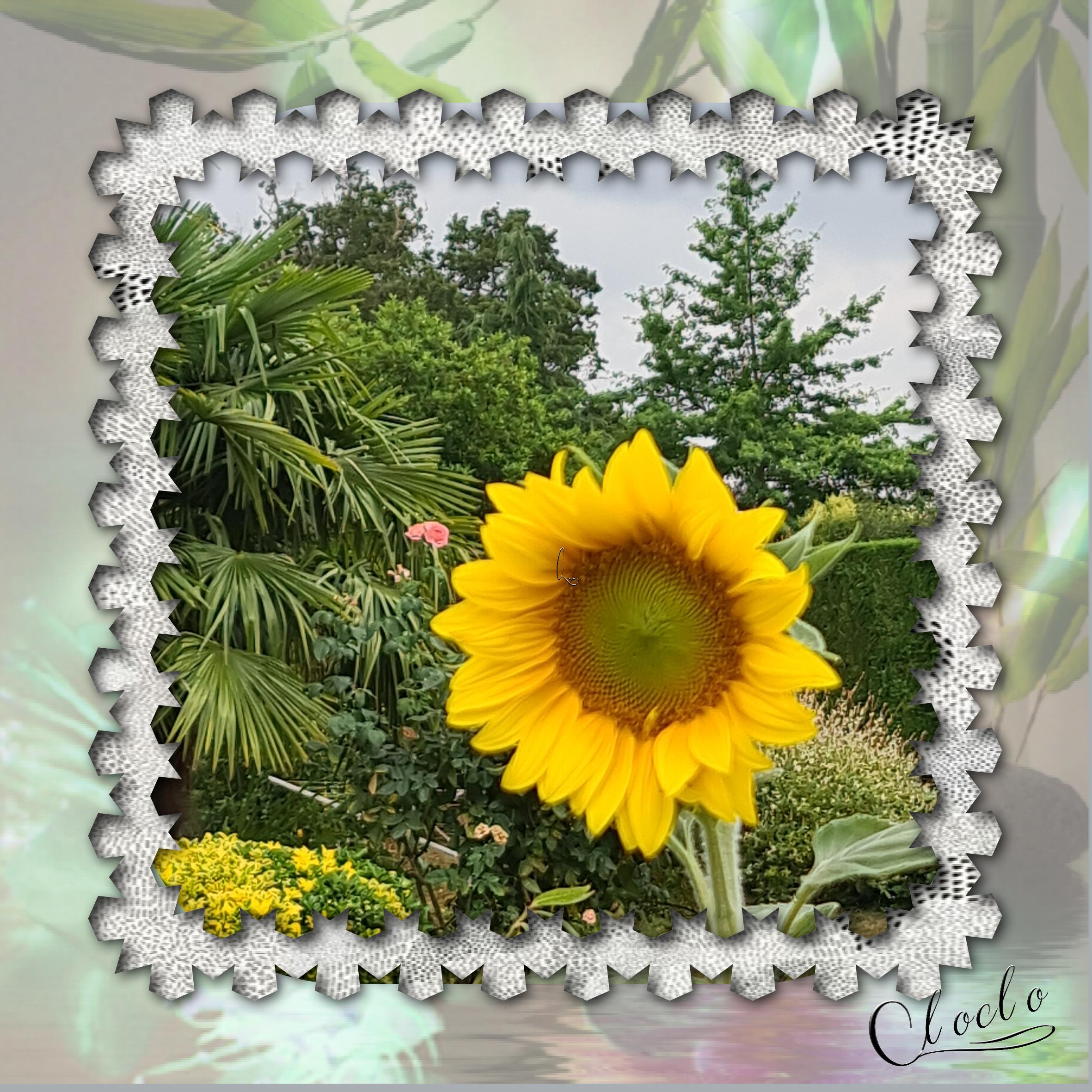 Composition 1 du 12 juin 2023.jpg