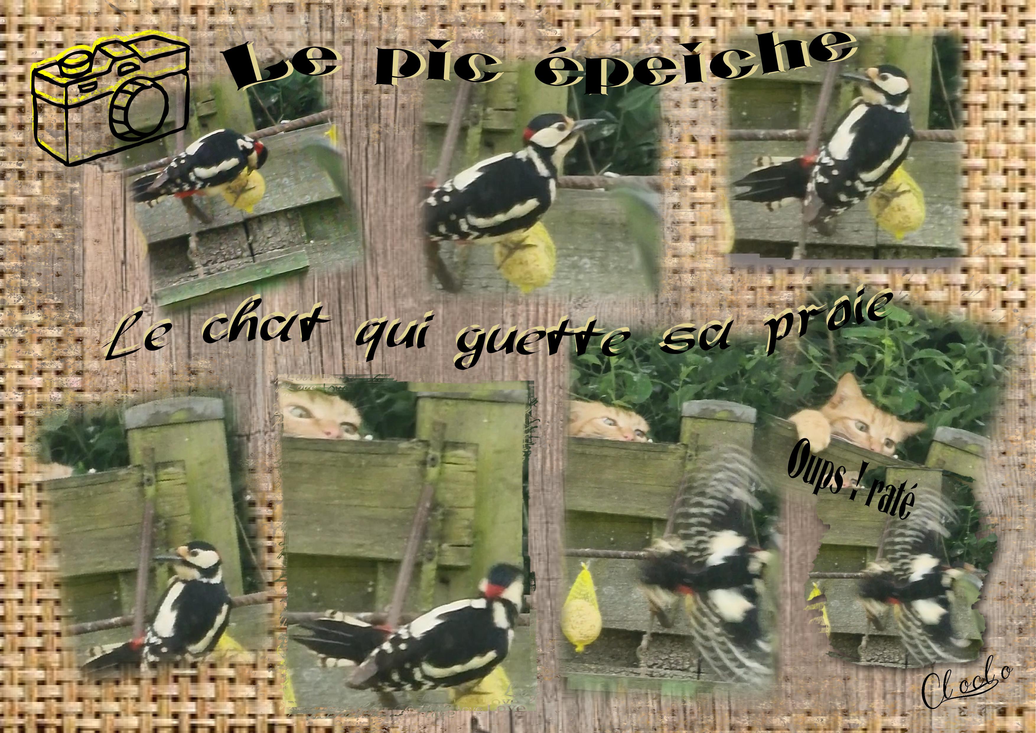 Composition 1 du 12 mai 2023.jpg