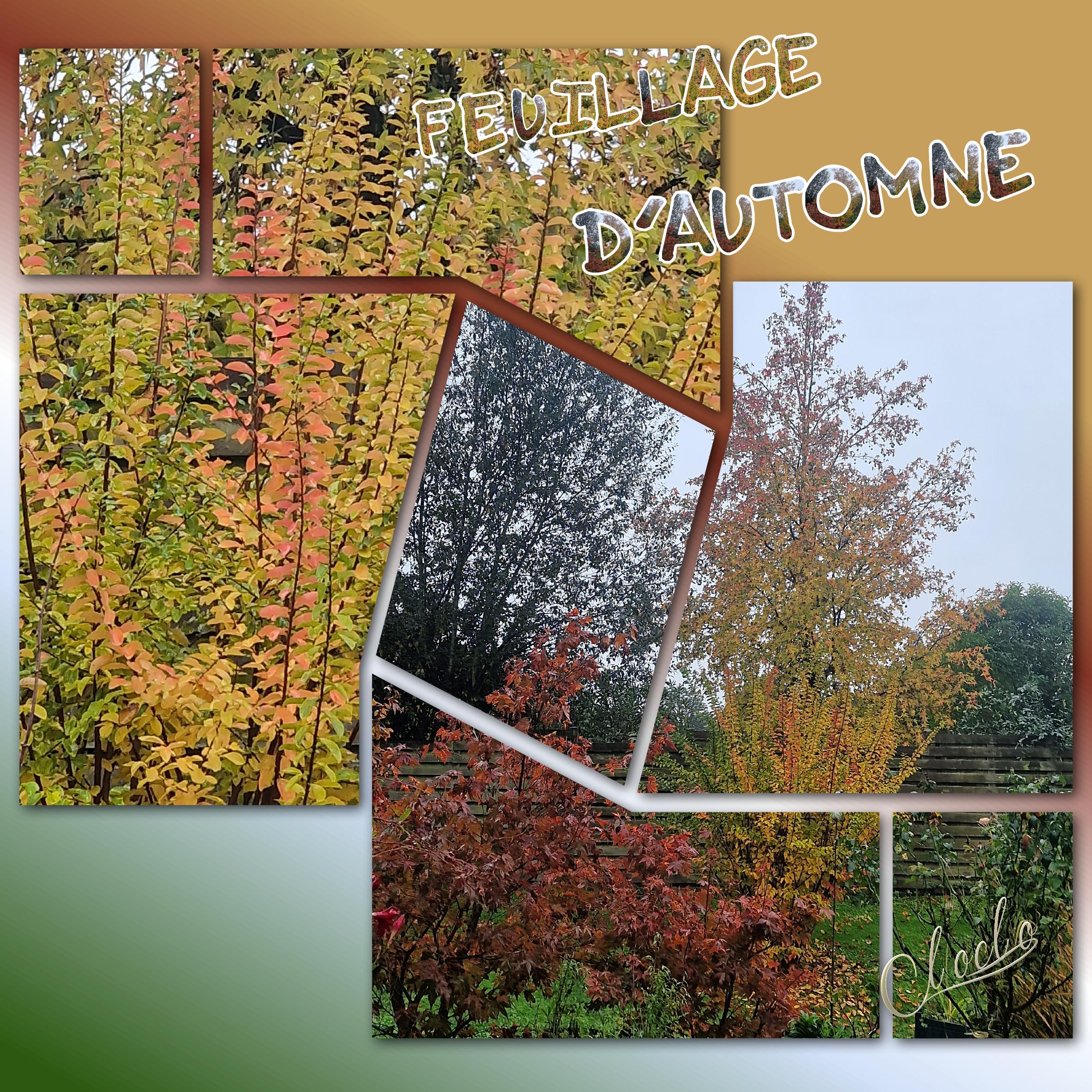 Composition 1 du 12 novembre 2023.jpg