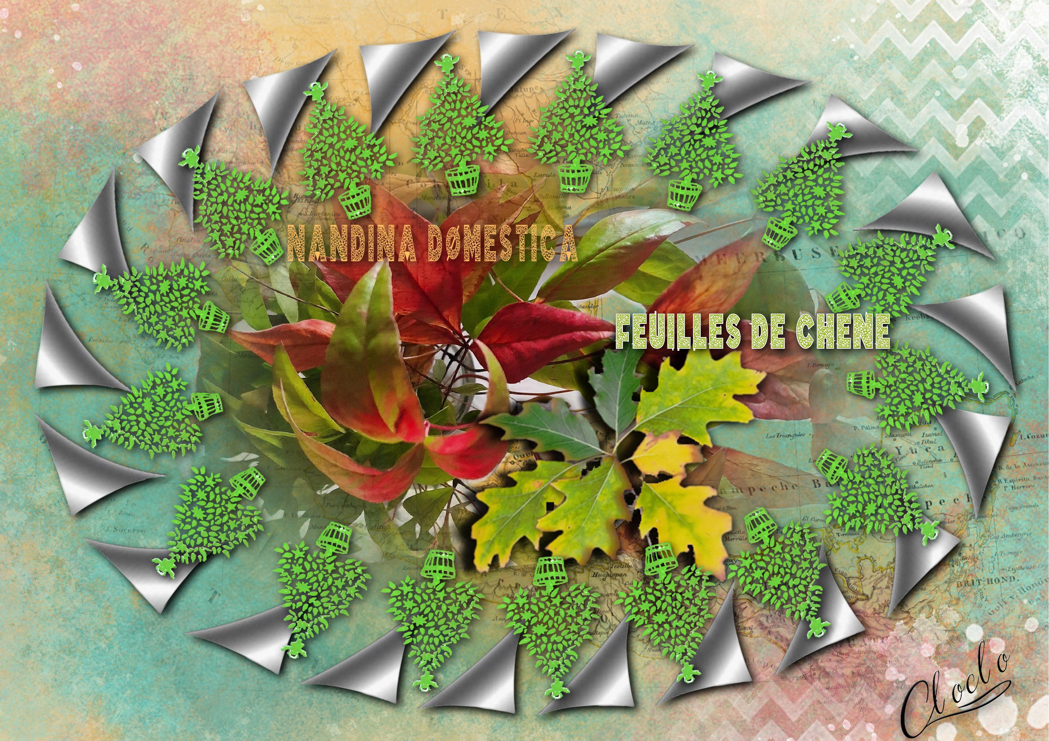 Composition 1 du 13 décembre 2023.jpg