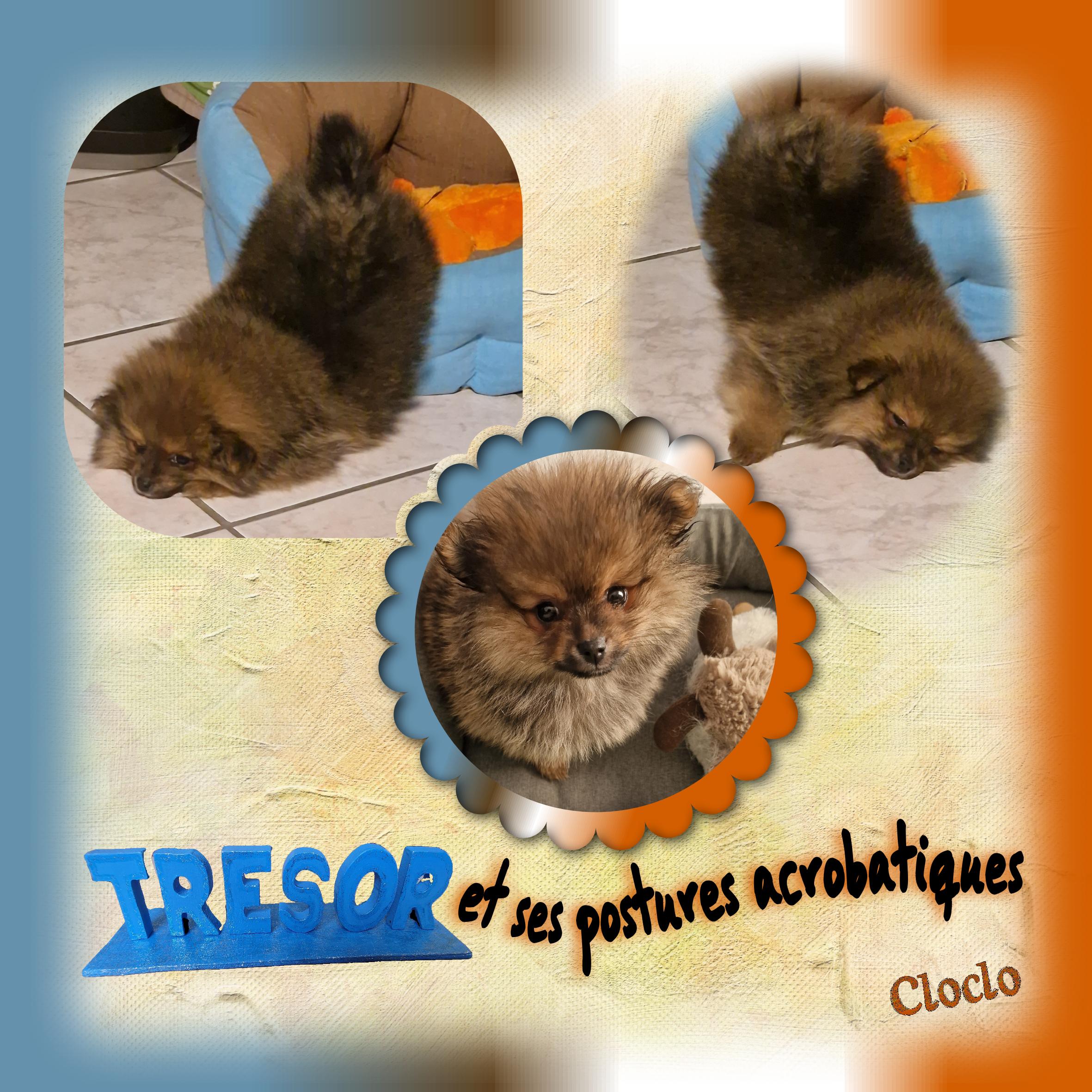 Composition 1 du 13 mars 2024.jpg