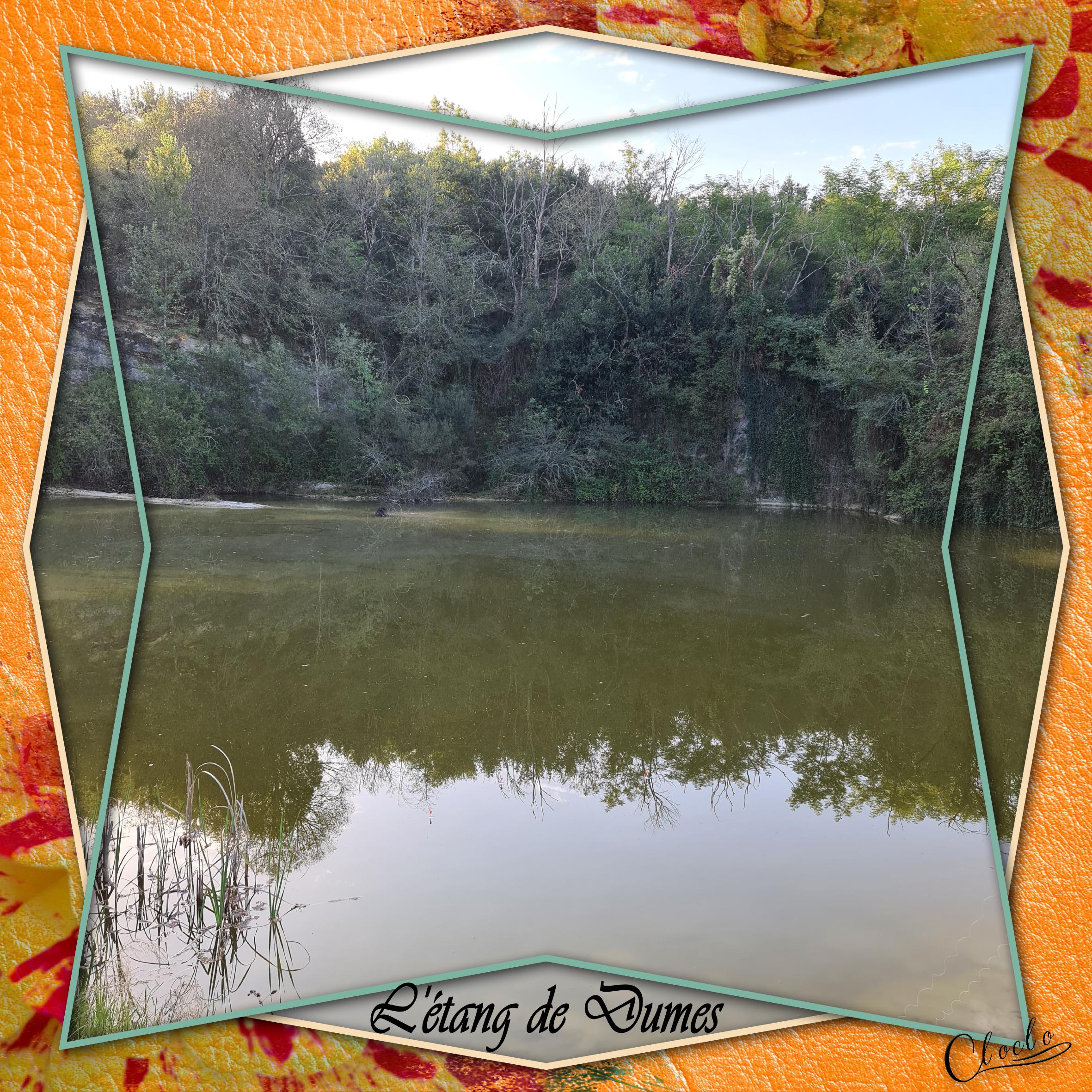 Composition 1 du 13 octobre 2023.jpg