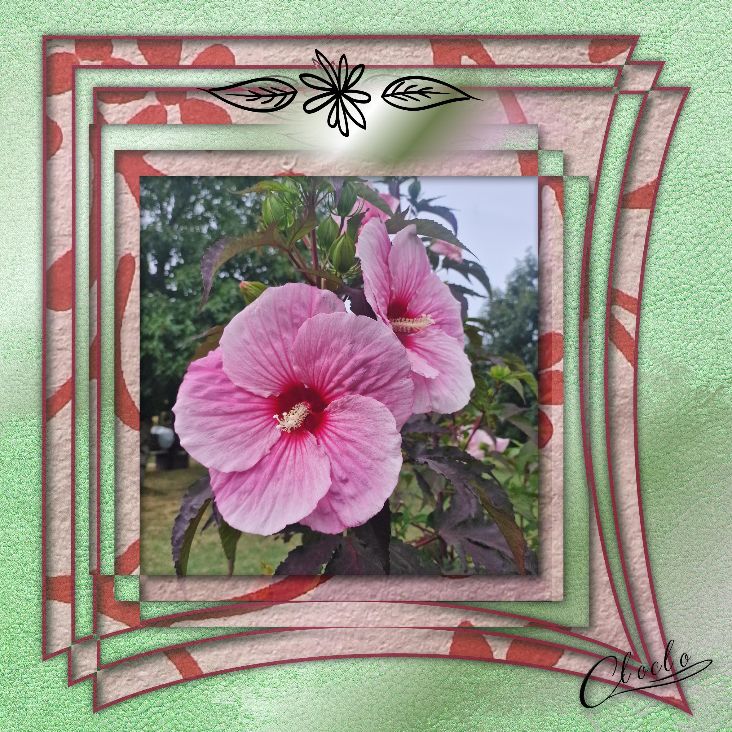 Composition 1 du 14 août 2023.jpg