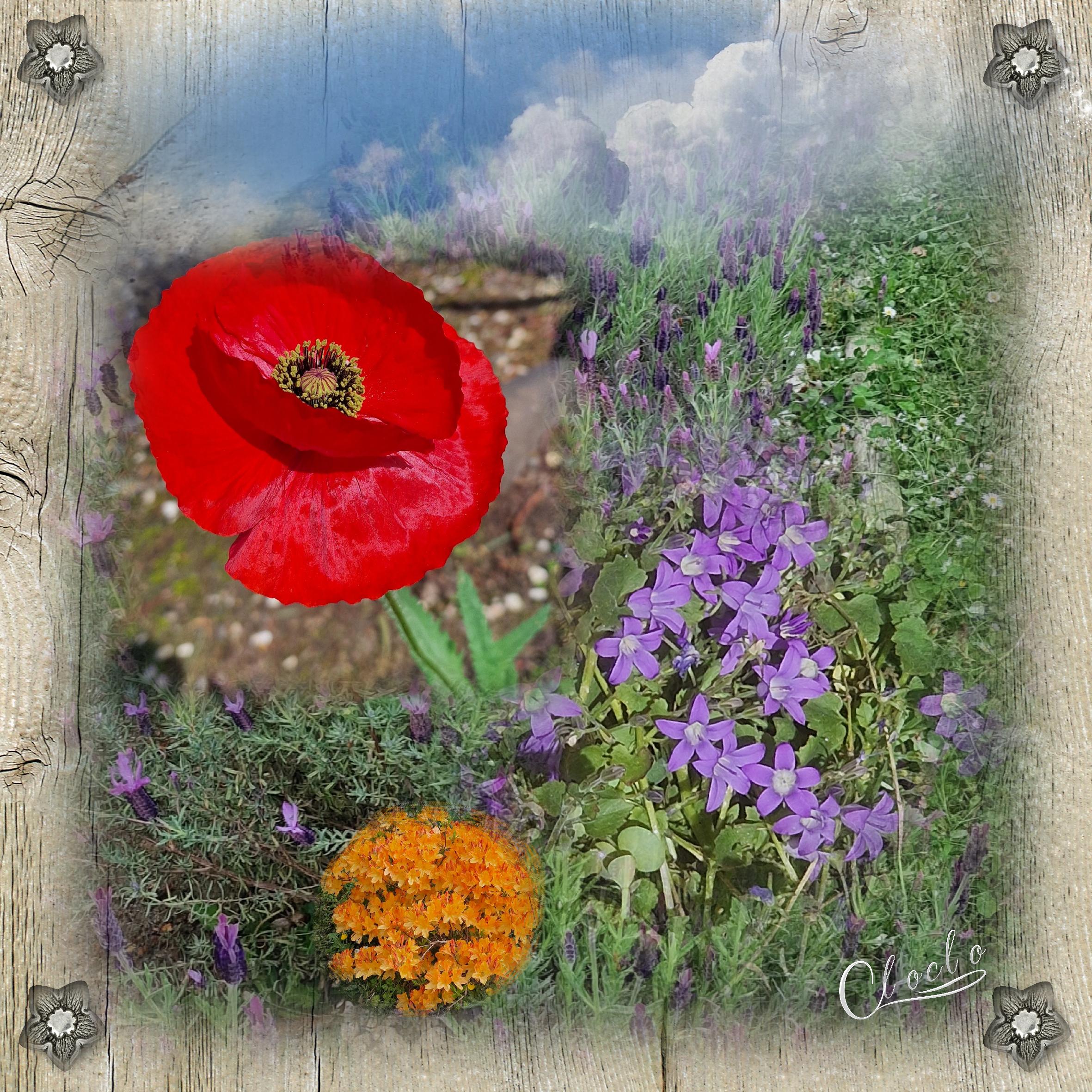 Composition 1 du 14 mai 2025.jpg