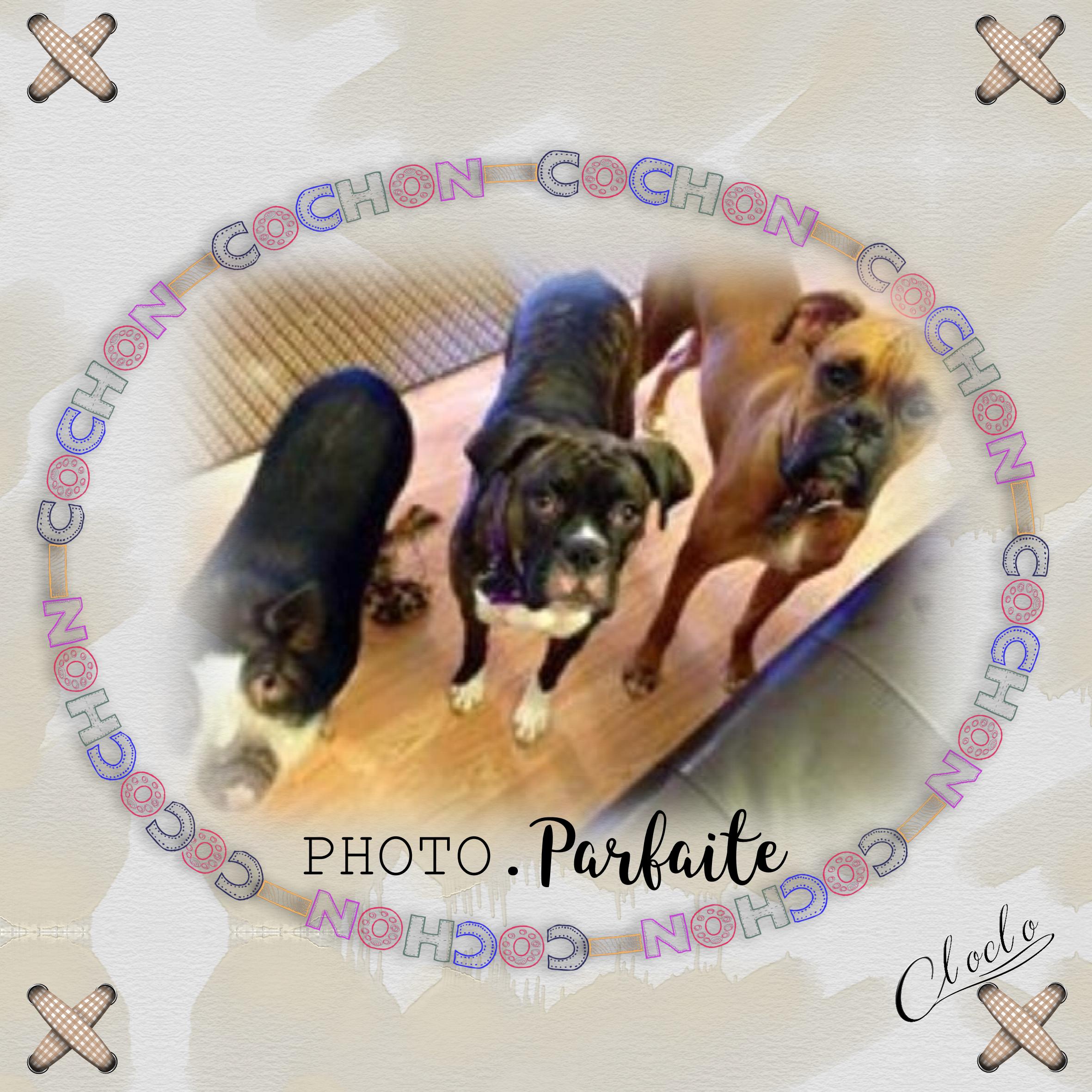 Composition 1 du 15 décembre 2023.jpg