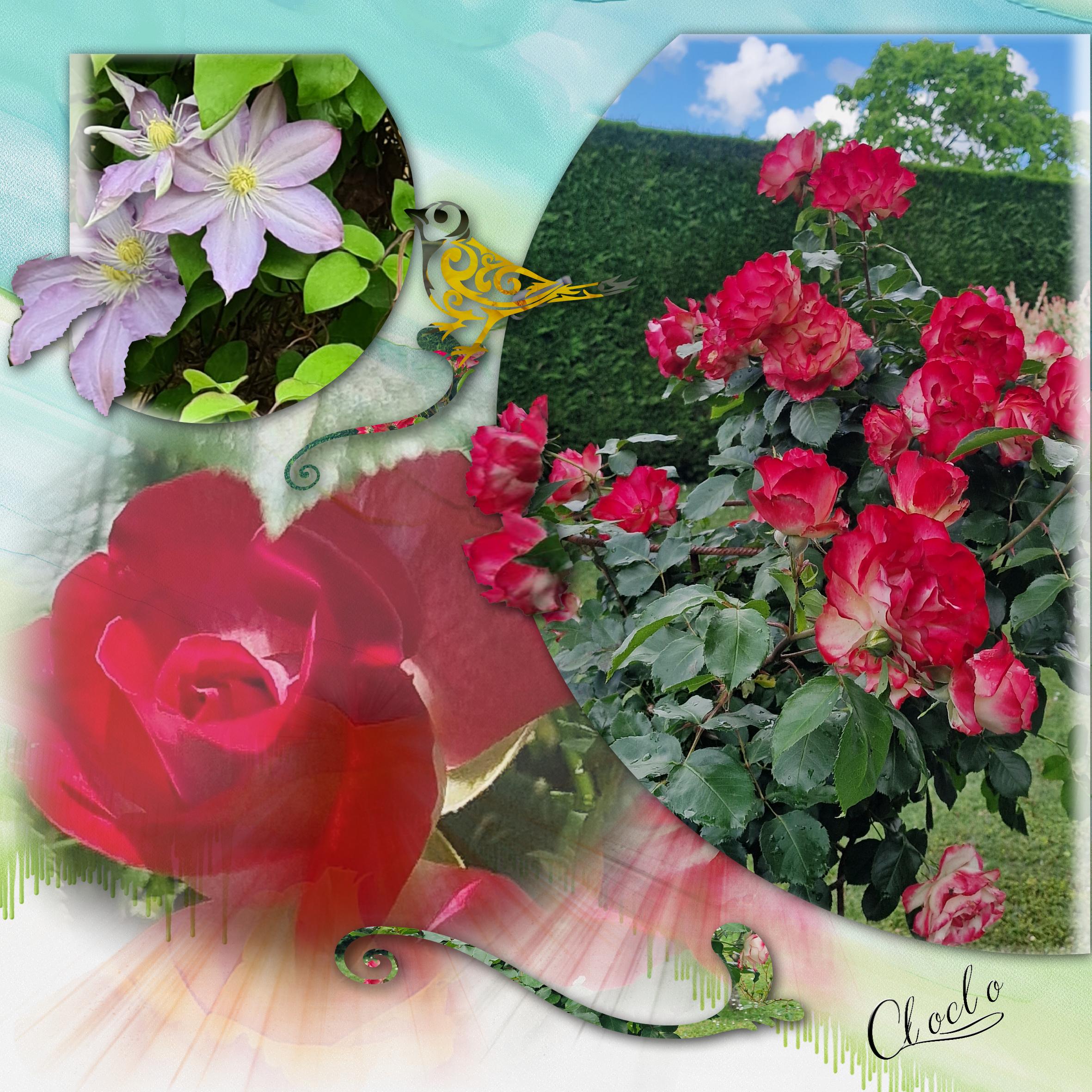 Composition 1 du 15 mai 2023.jpg