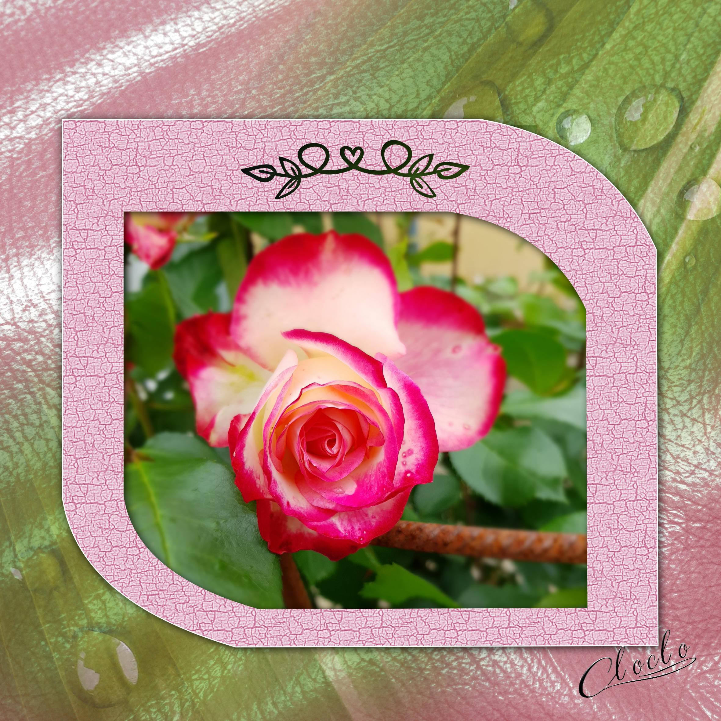 Composition 1 du 16 août 2023.jpg