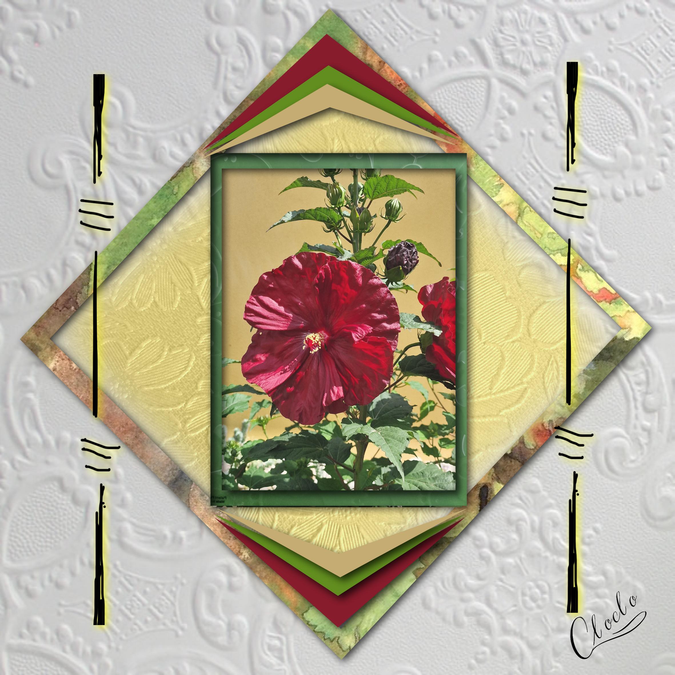 Composition 1 du 16 juillet 2023.jpg