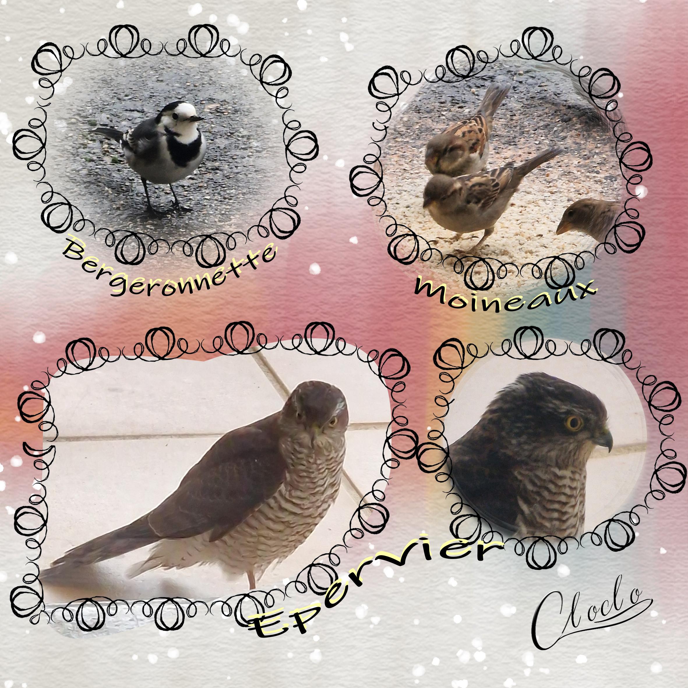 Composition 1 du 17 décembre 2023.jpg