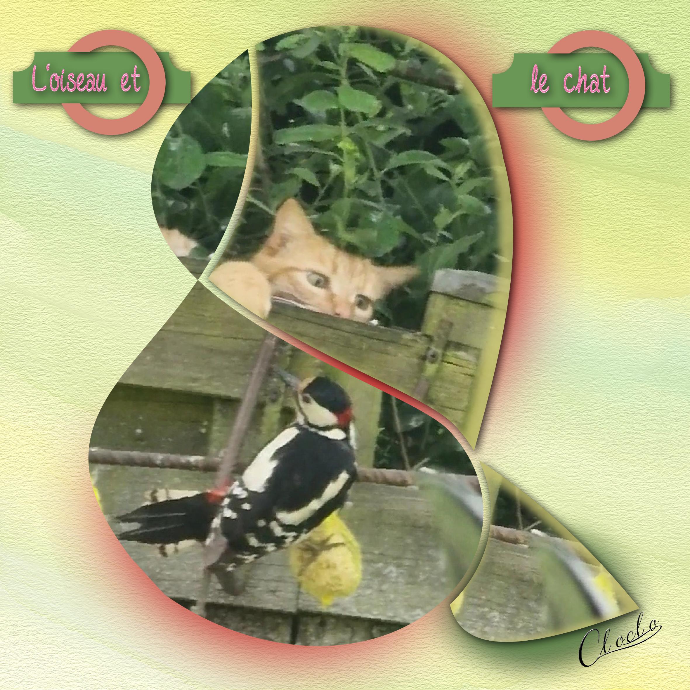 Composition 1  du 17 mai 2023.jpg