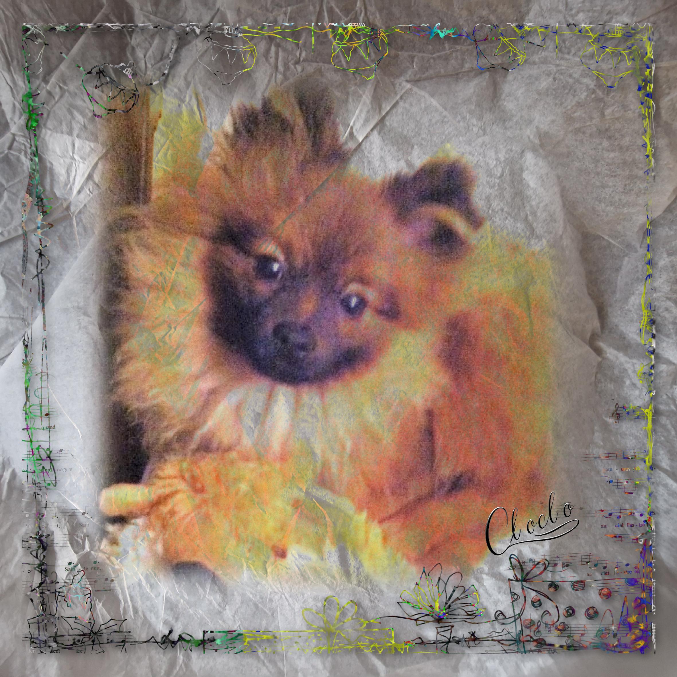 Composition 1 du 18 février 2023.jpg