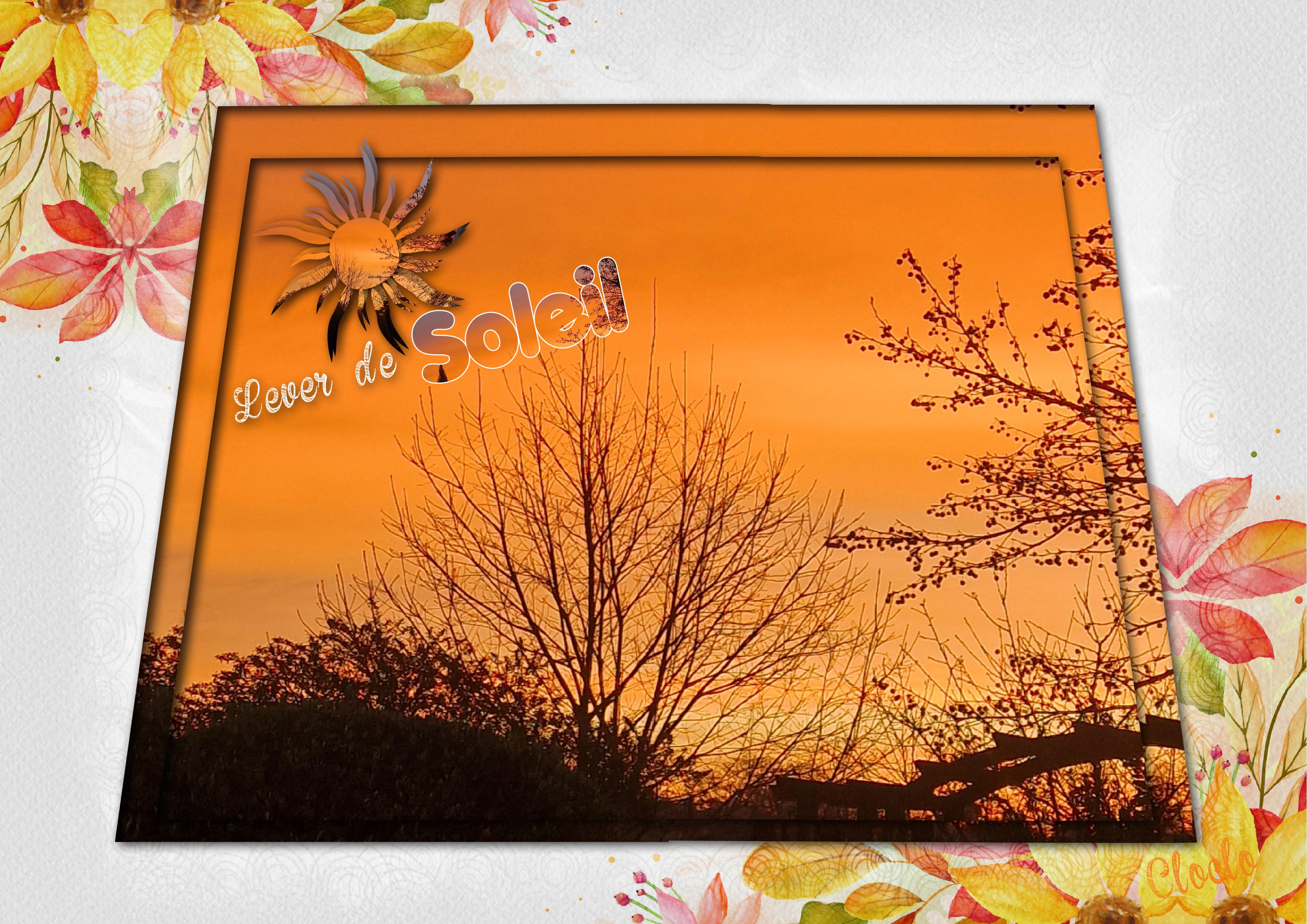 Composition 1 du 18 février 2024.jpg