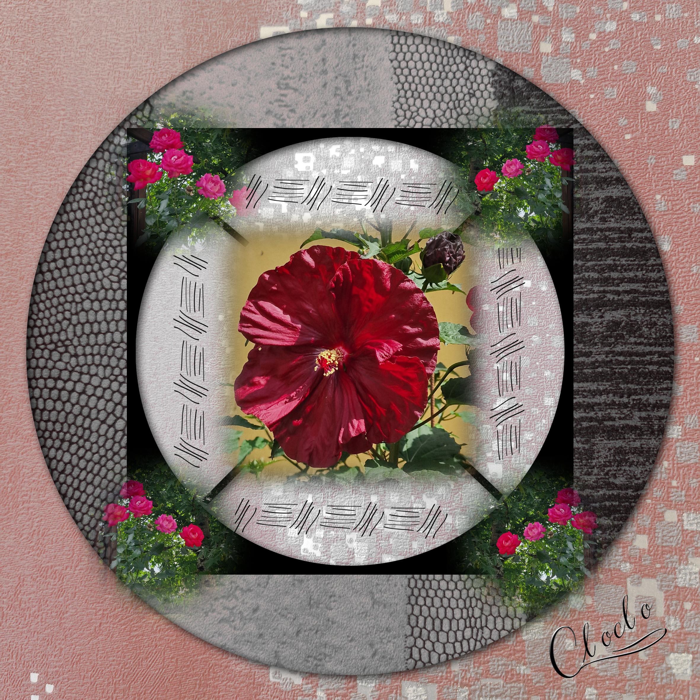 Composition 1 du 18 juillet 2023.jpg