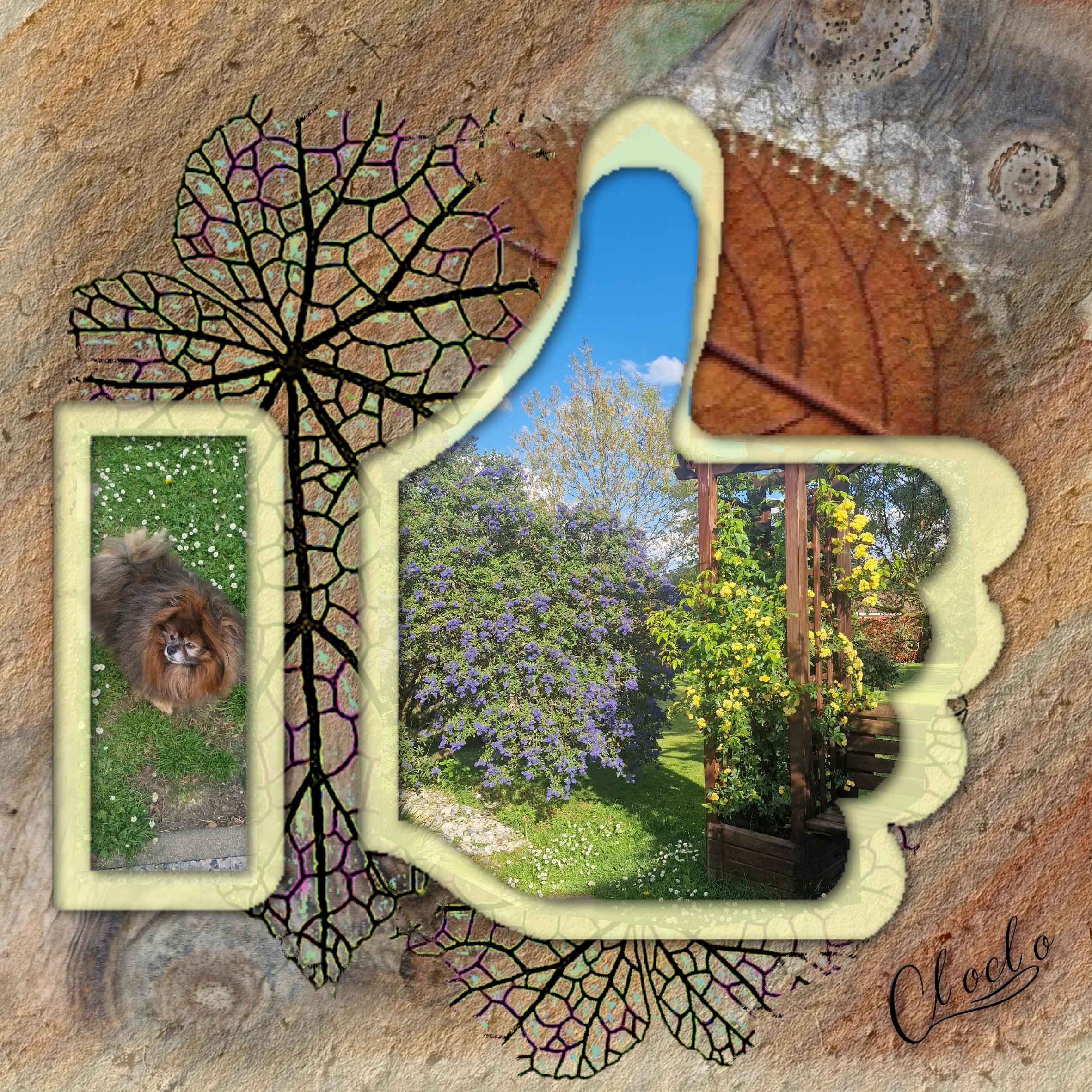 Composition 1 du 19 avril 2023.jpg