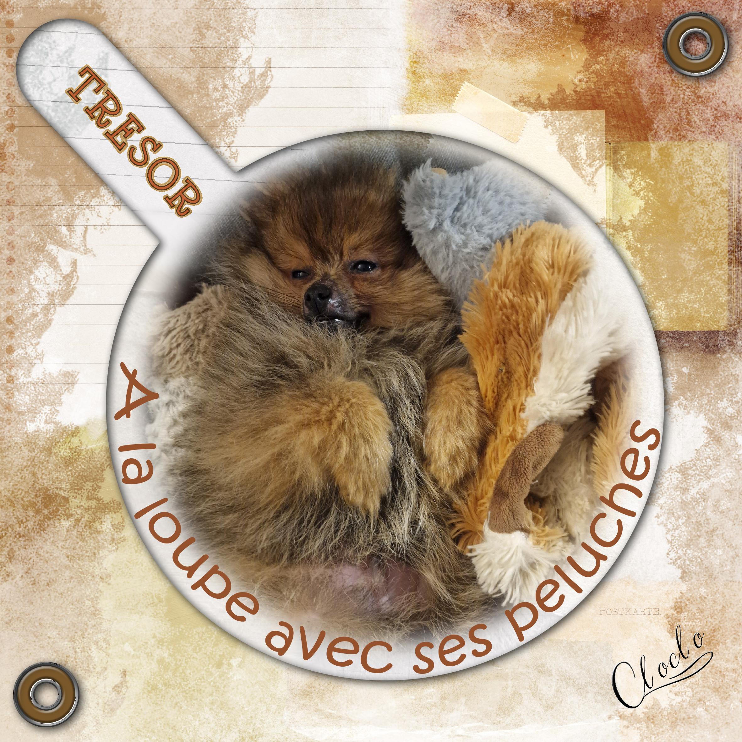 Composition 1 du 19 avril 2024.jpg