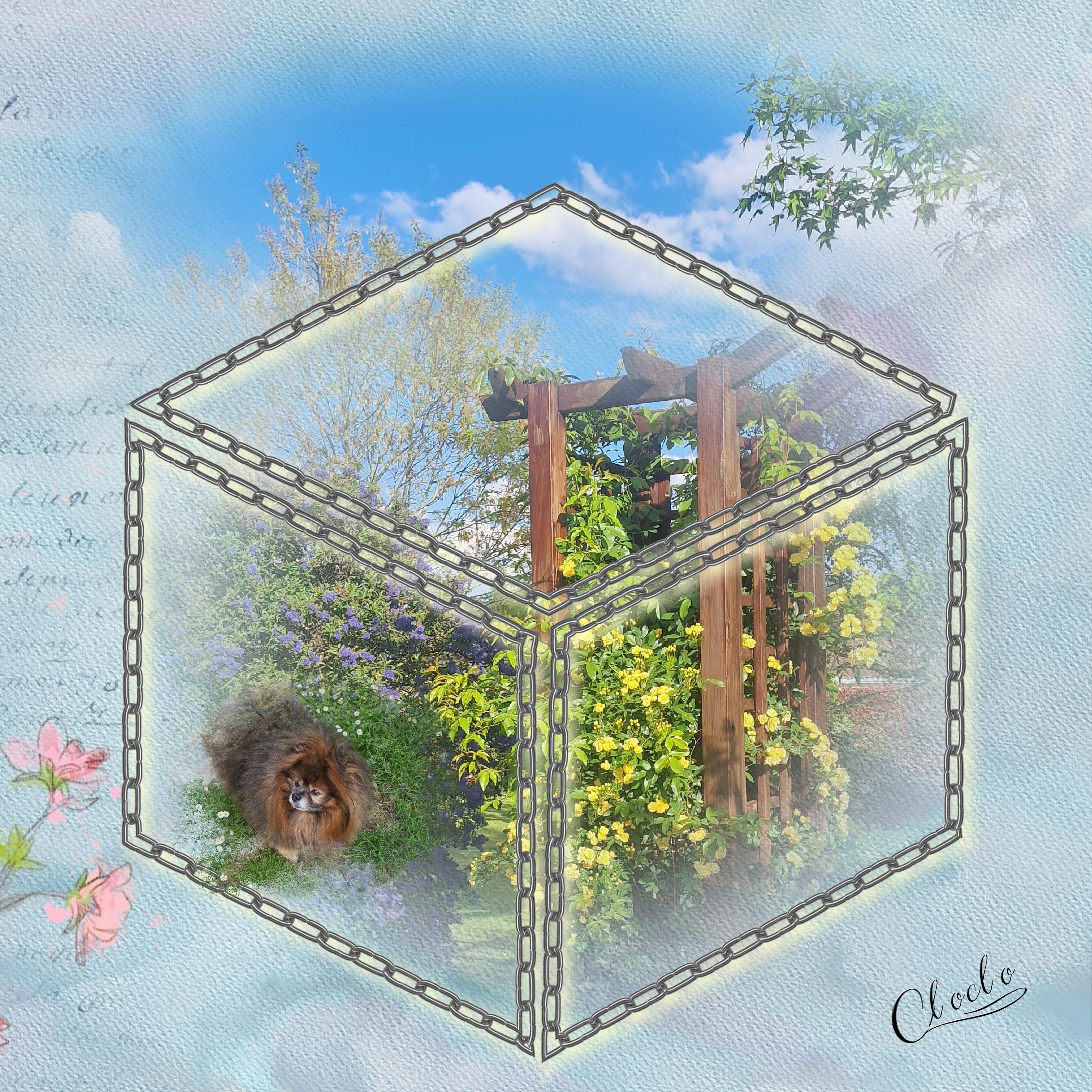 Composition 1 du 19 mai 2023.jpg