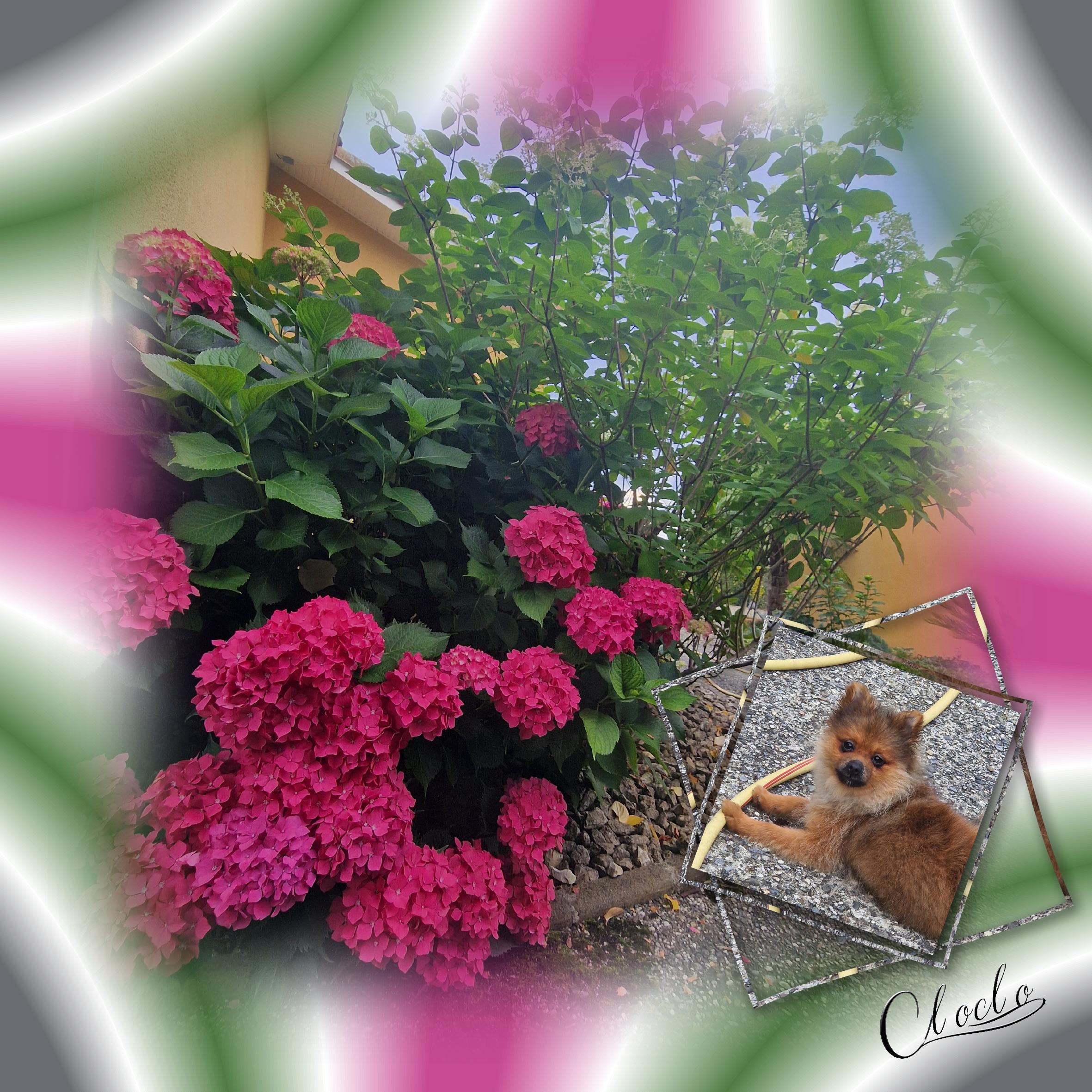 Composition 1 du 1er juillet 2024.jpg