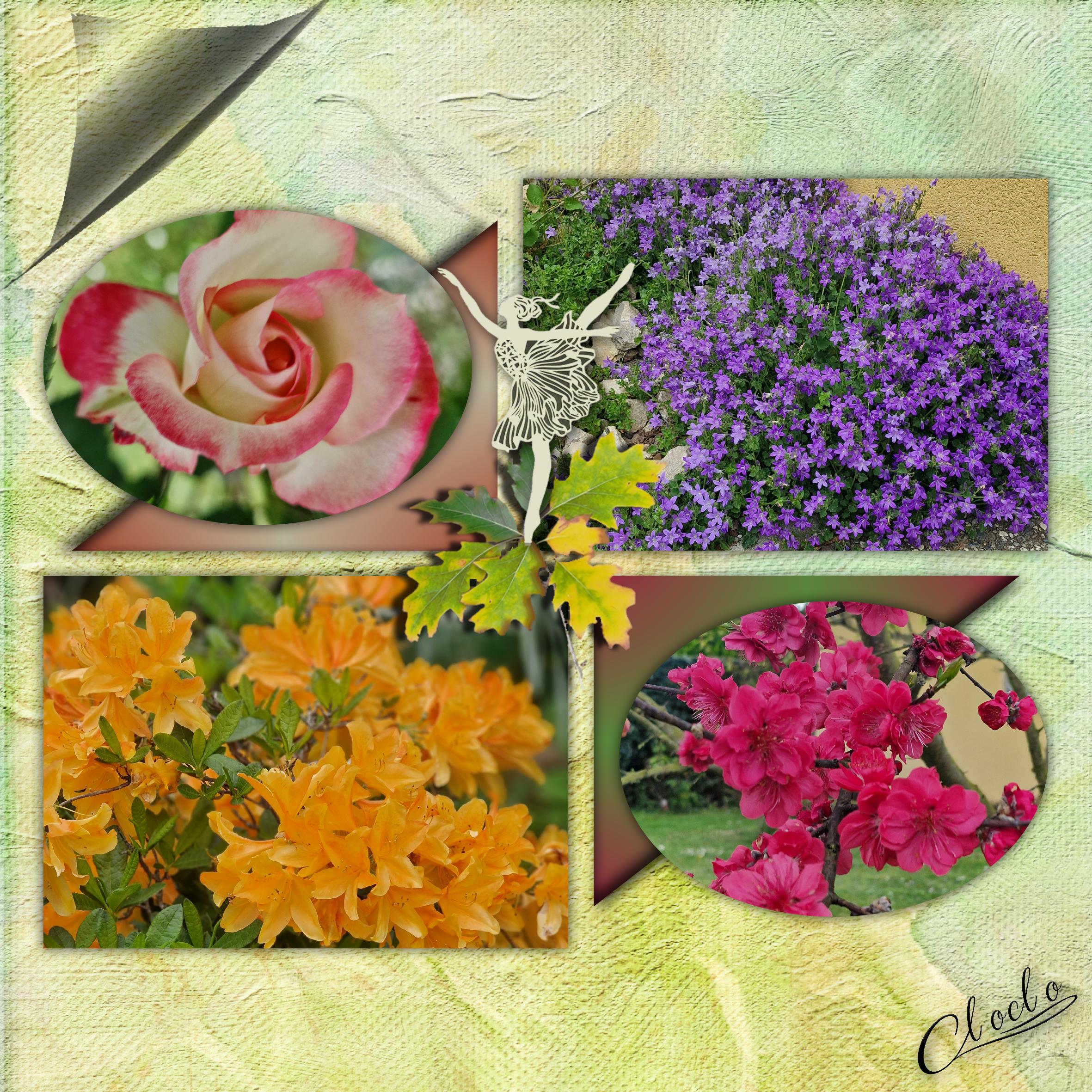 Composition 1 du 1er  juin 2023.jpg