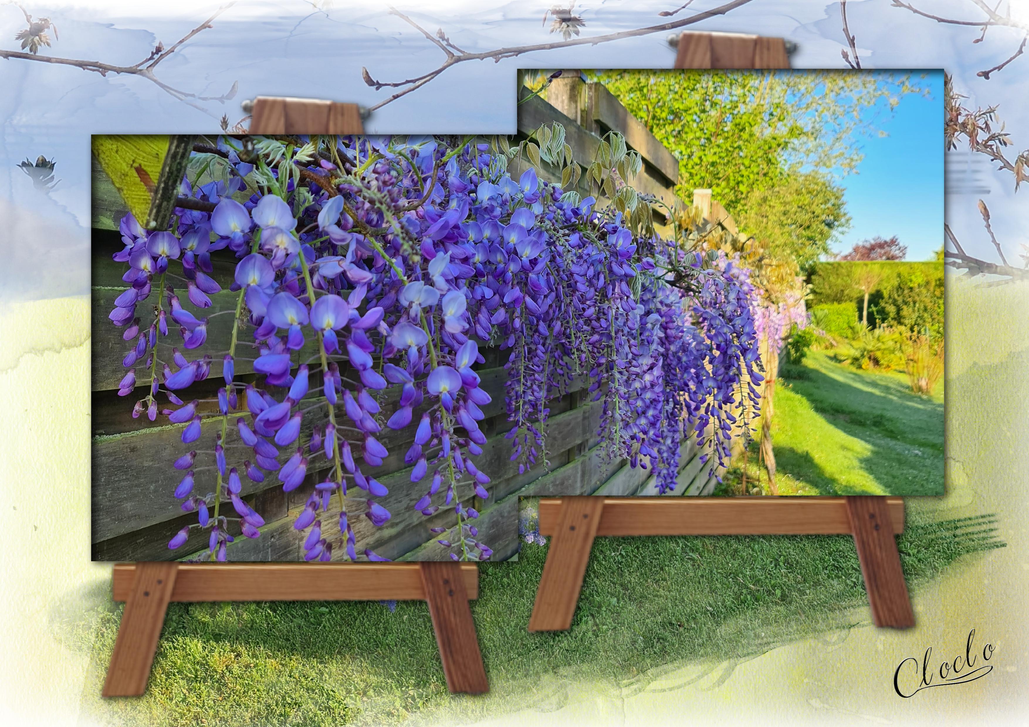 Composition 1 du 1er Mai 2023.jpg