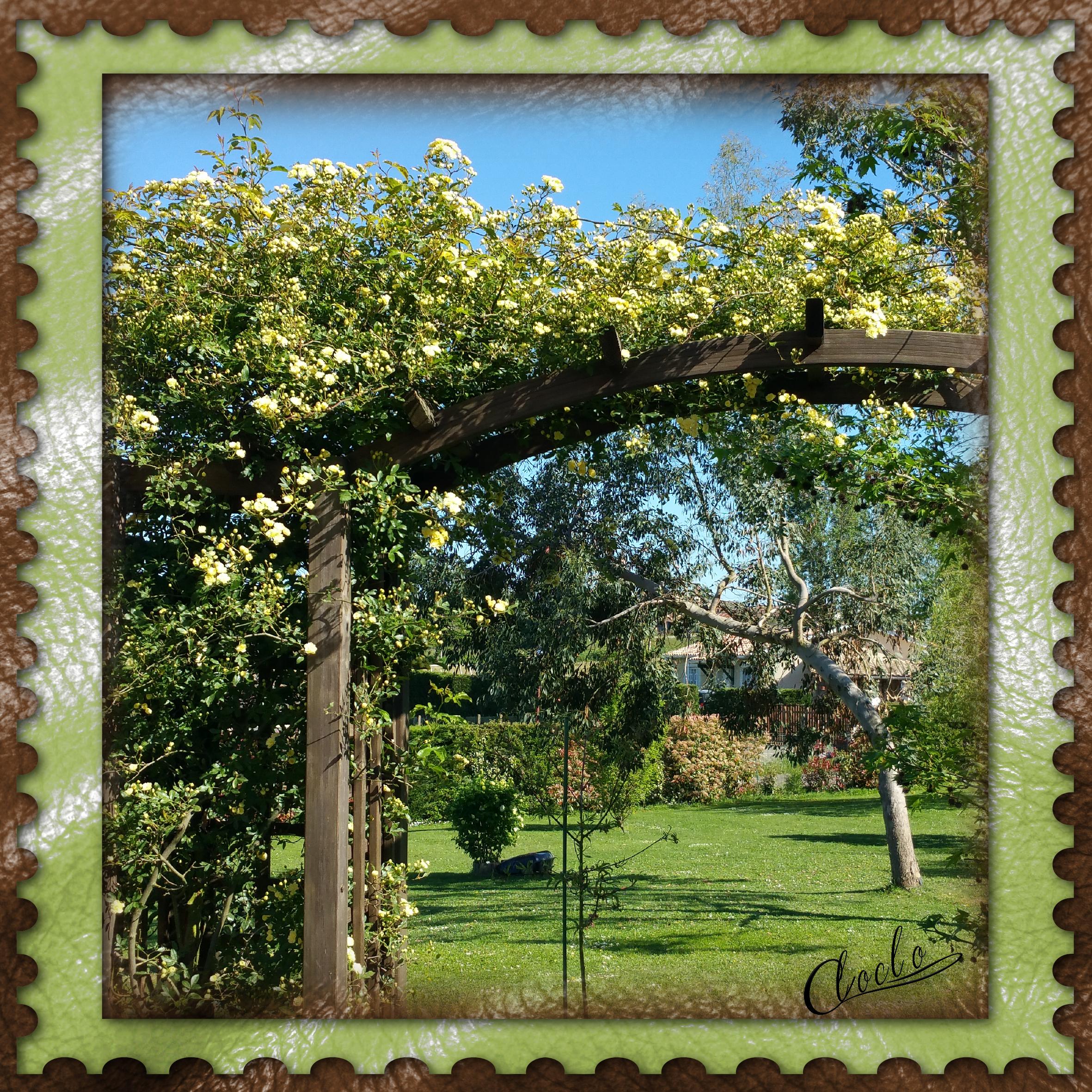 Composition 1 du 1er octobre 2023.jpg