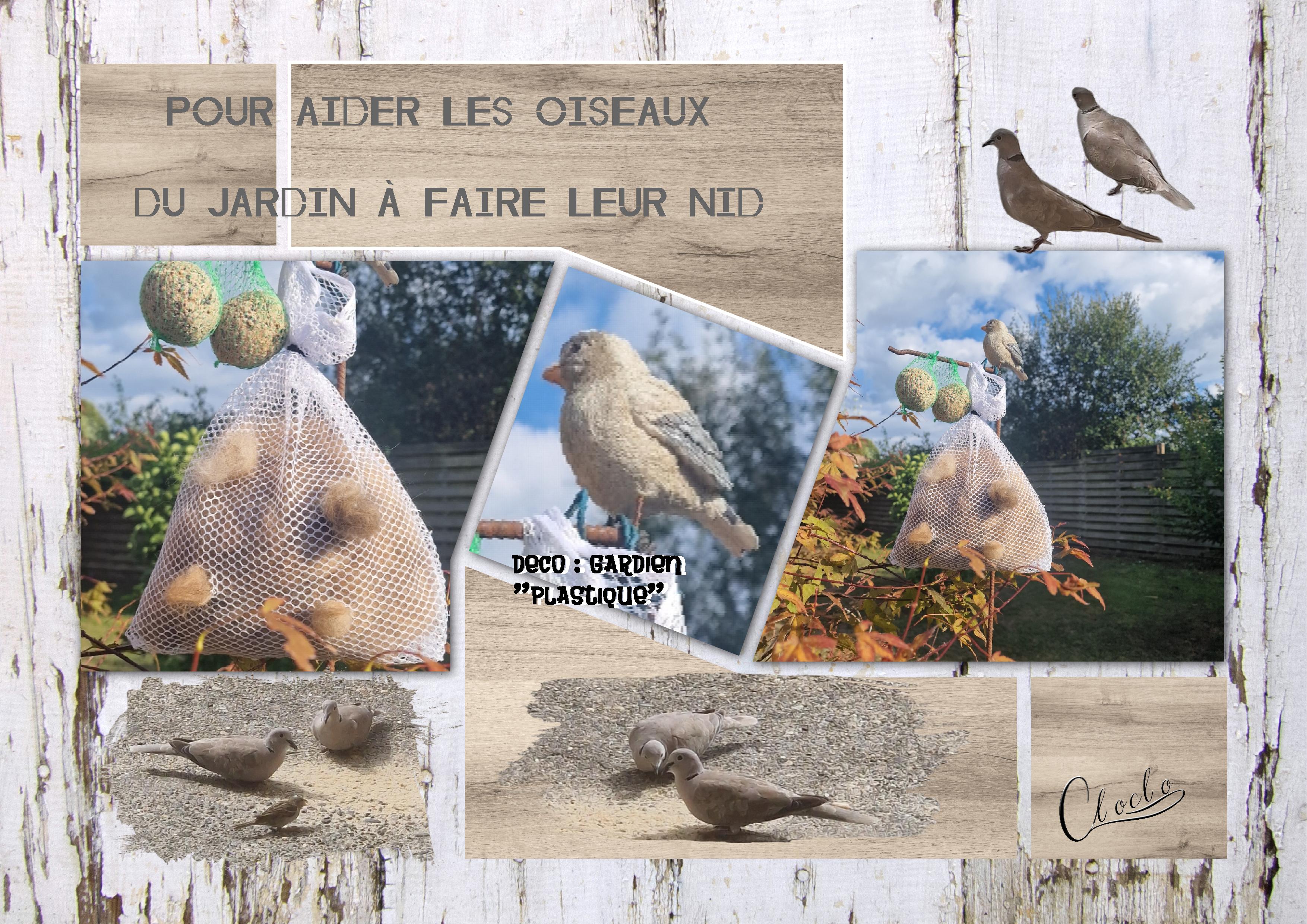 Composition 1 du 2 août 2025.jpg